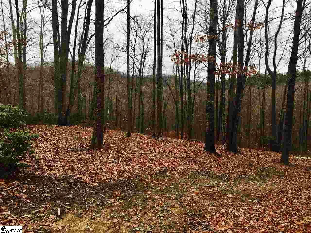 Property image 2 at 7 Lookout Ridge Drive, Travelers Rest, SC 29690