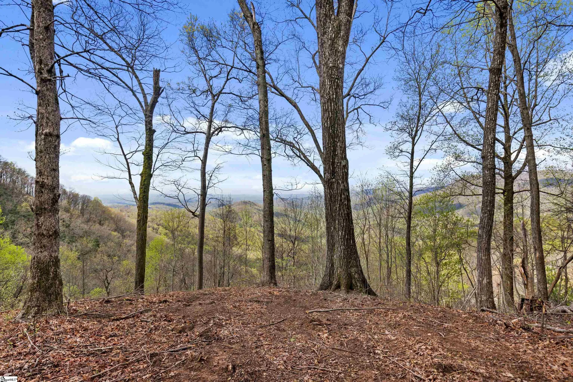 Property image 4 at 21 High Laurel Way, Travelers Rest, SC 29690