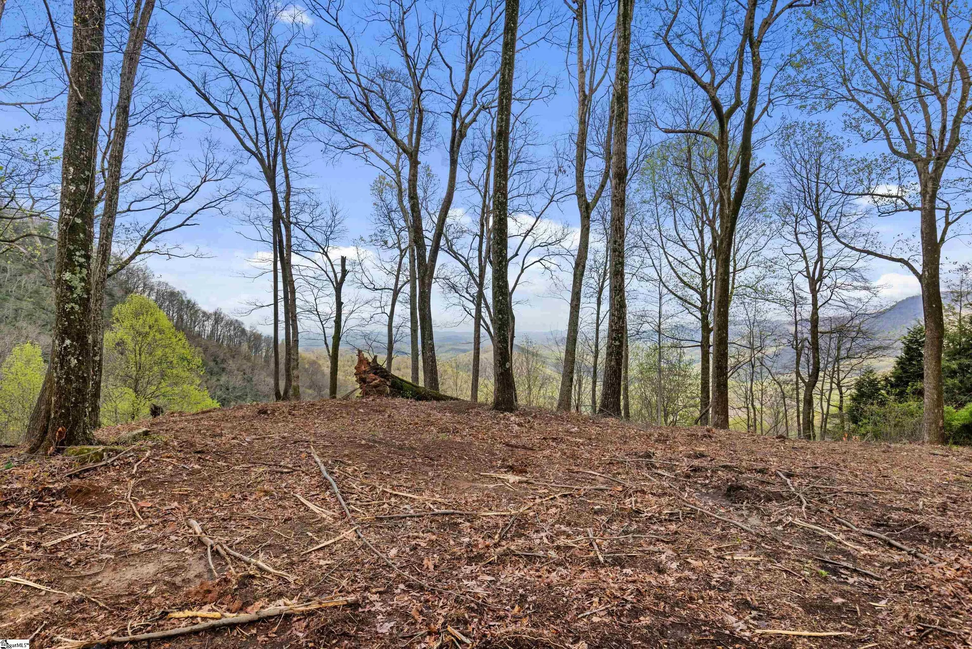 Property image 5 at 21 High Laurel Way, Travelers Rest, SC 29690