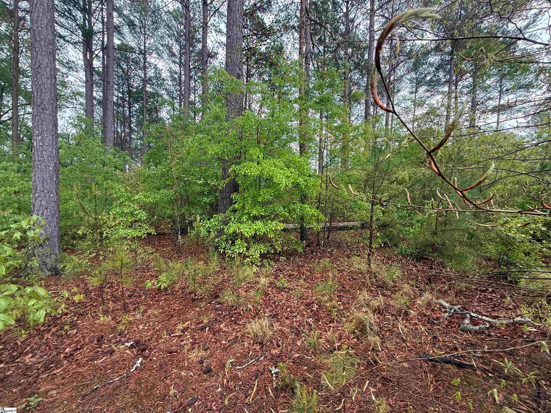 Property image 5 at 0 Harbor Point Road, Seneca, SC 29672