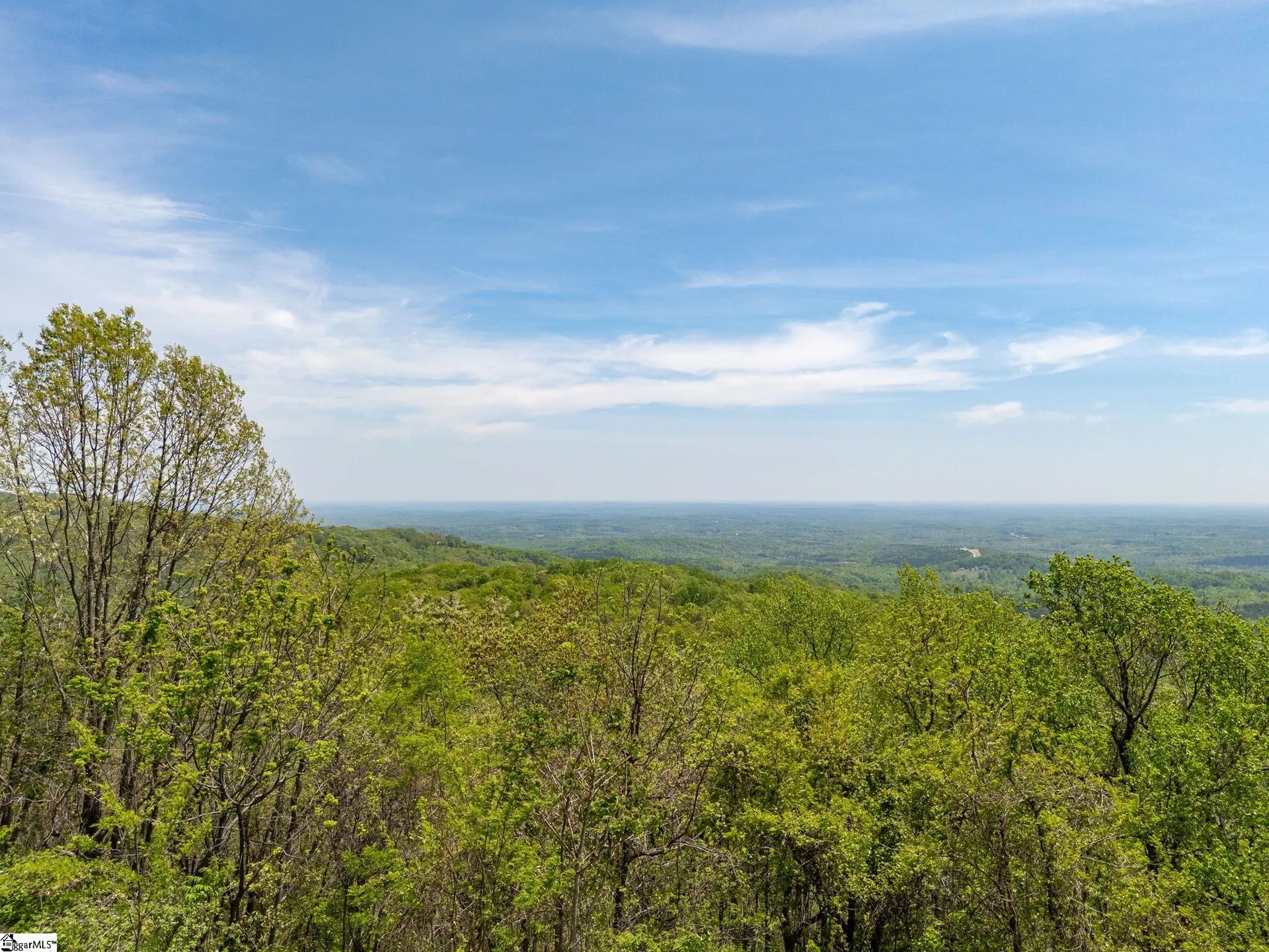 Property image 2 at 809 Plumley Summit Drive, Landrum, SC 29356