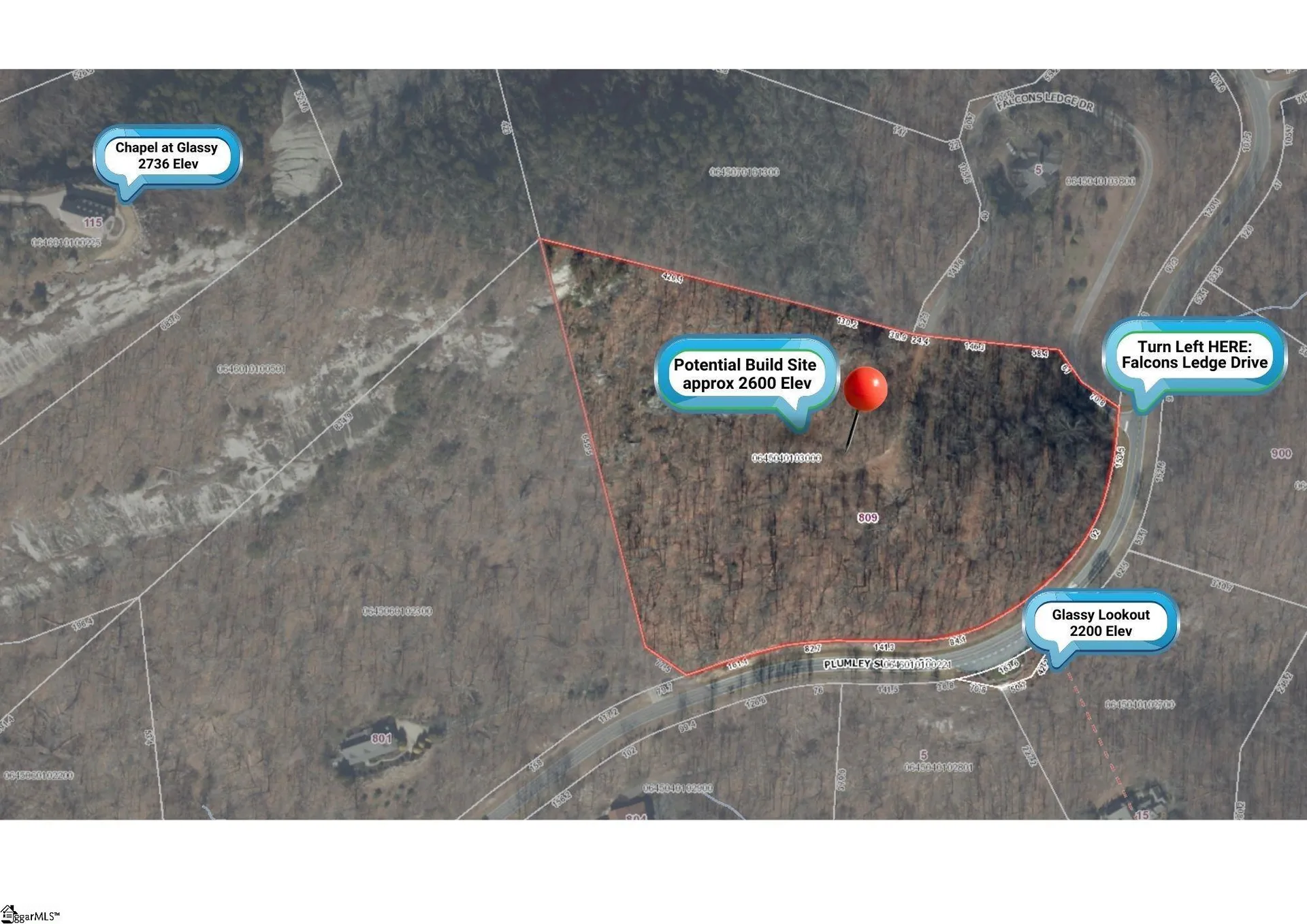 Property image 3 at 809 Plumley Summit Drive, Landrum, SC 29356