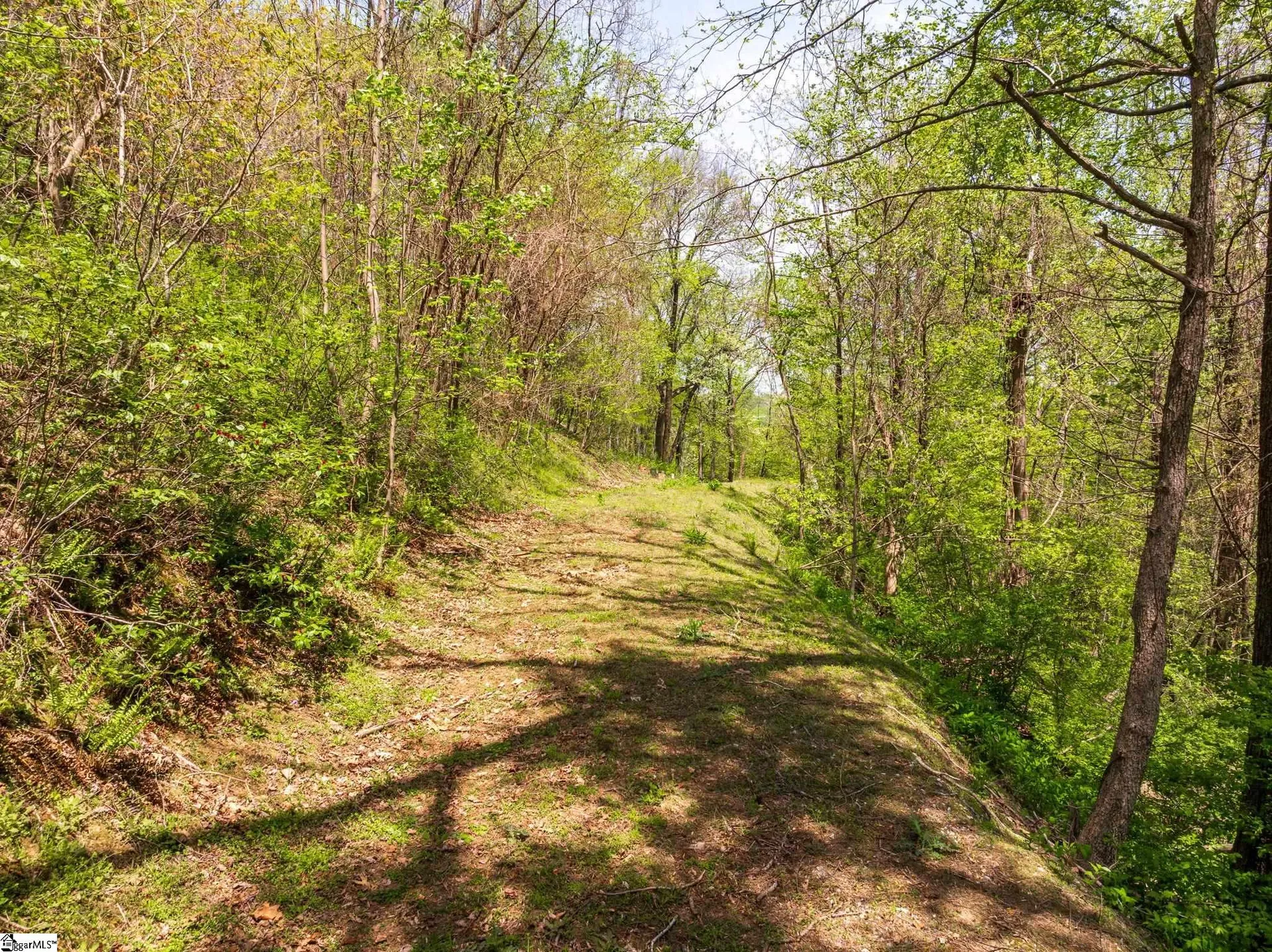 Property image 4 at 809 Plumley Summit Drive, Landrum, SC 29356