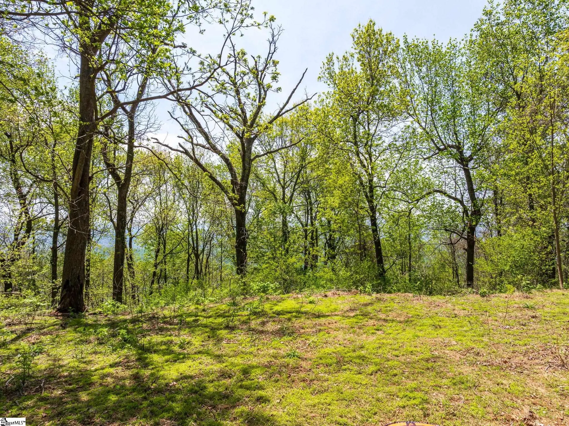 Property image 5 at 809 Plumley Summit Drive, Landrum, SC 29356
