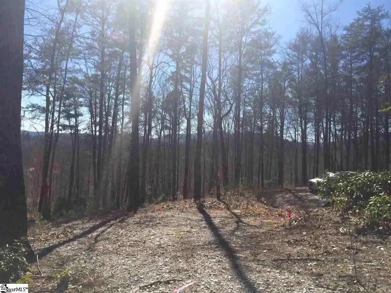 Property image 3 at 18 Angle Stone Way, Travelers Rest, SC 29690