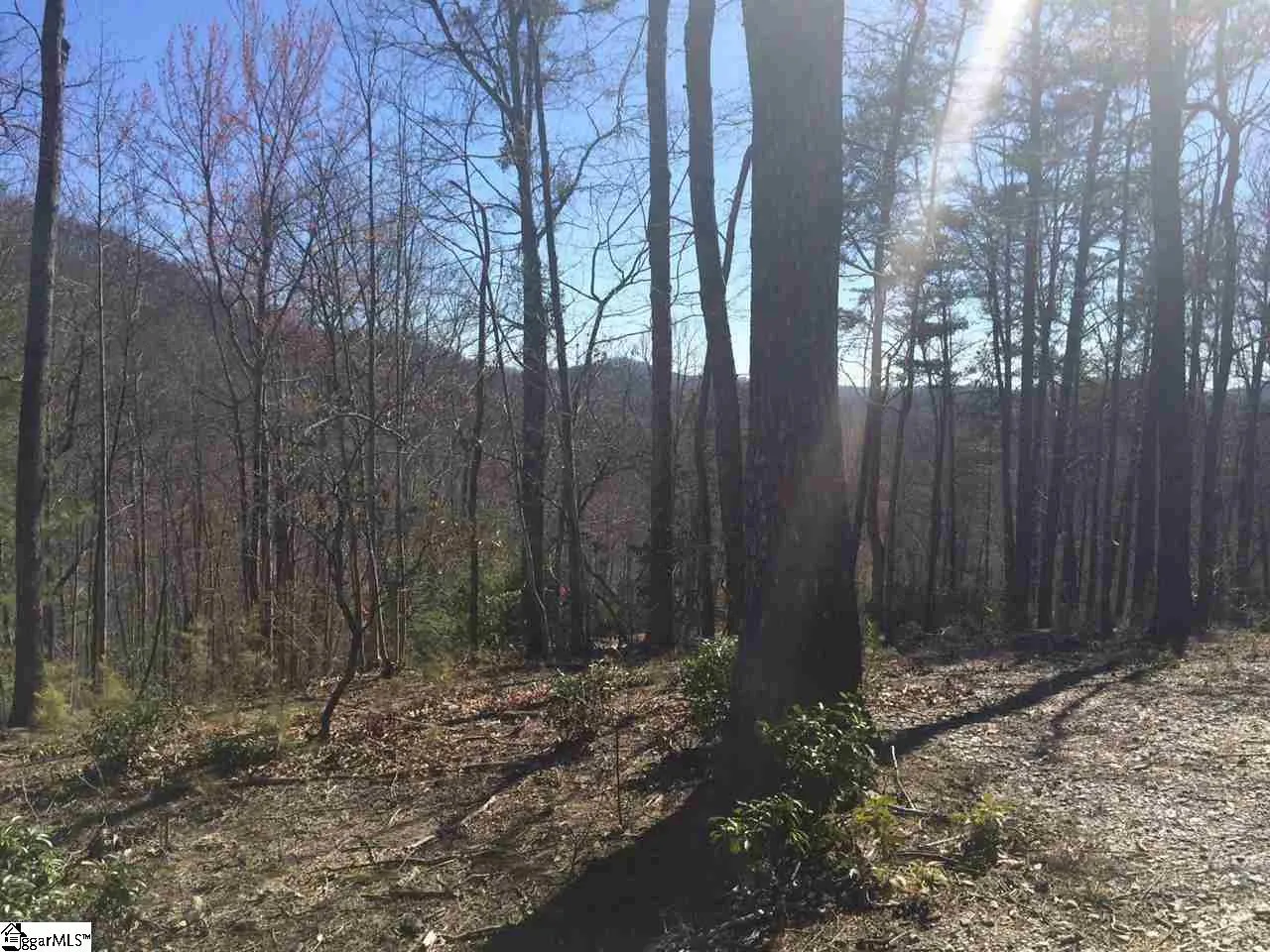 Property image 5 at 18 Angle Stone Way, Travelers Rest, SC 29690