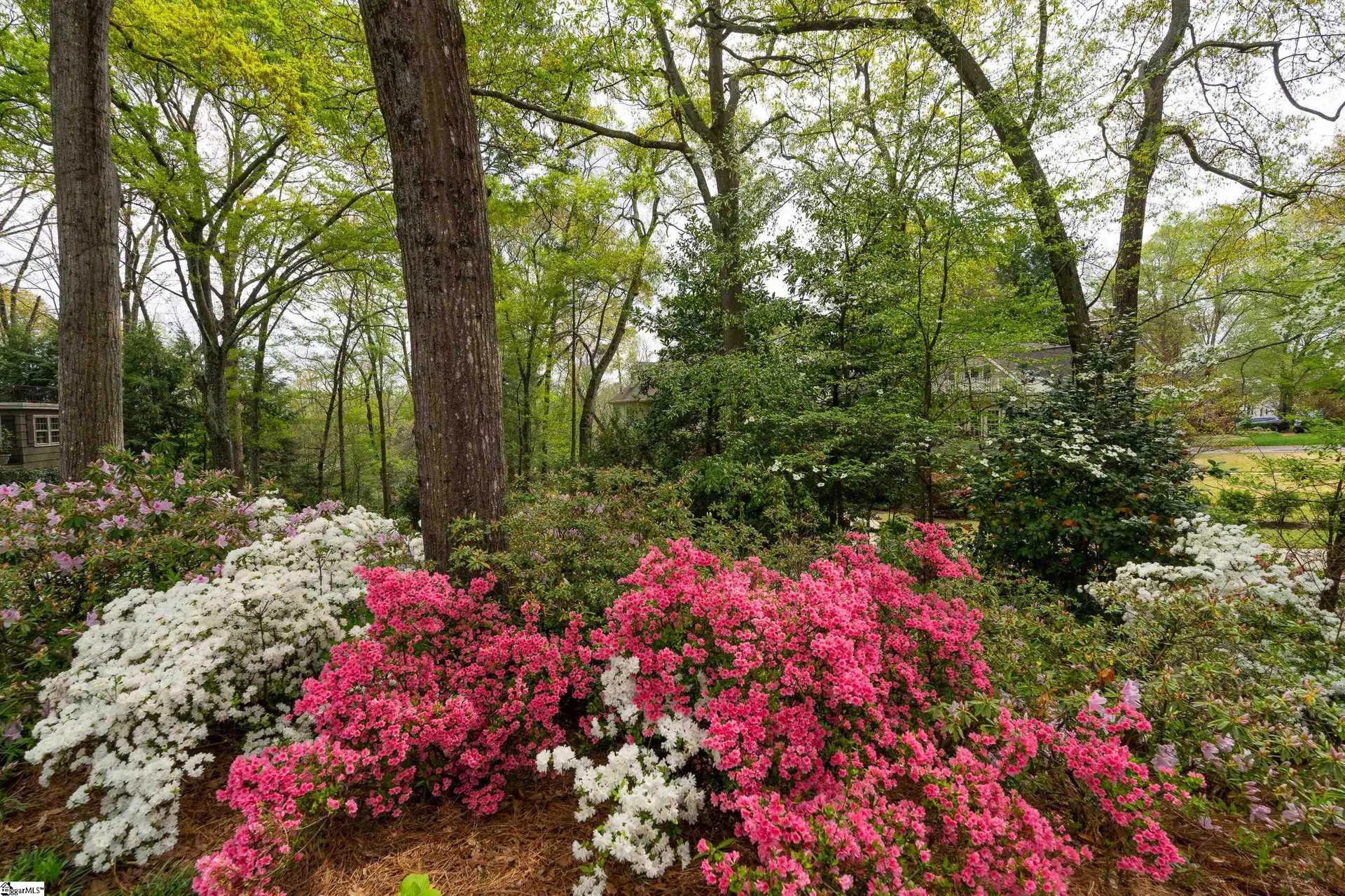 Property image 1 at 78 Woodvale Avenue, Greenville, SC 29605