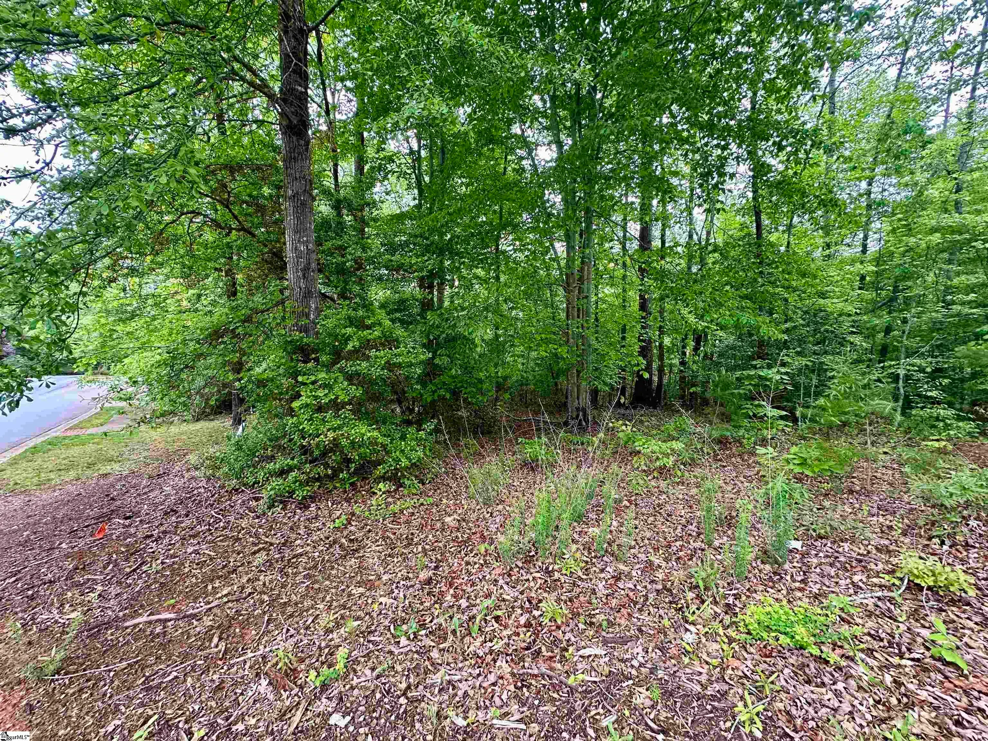Property image 2 at 700 Acadia Avenue, Piedmont, SC 29673