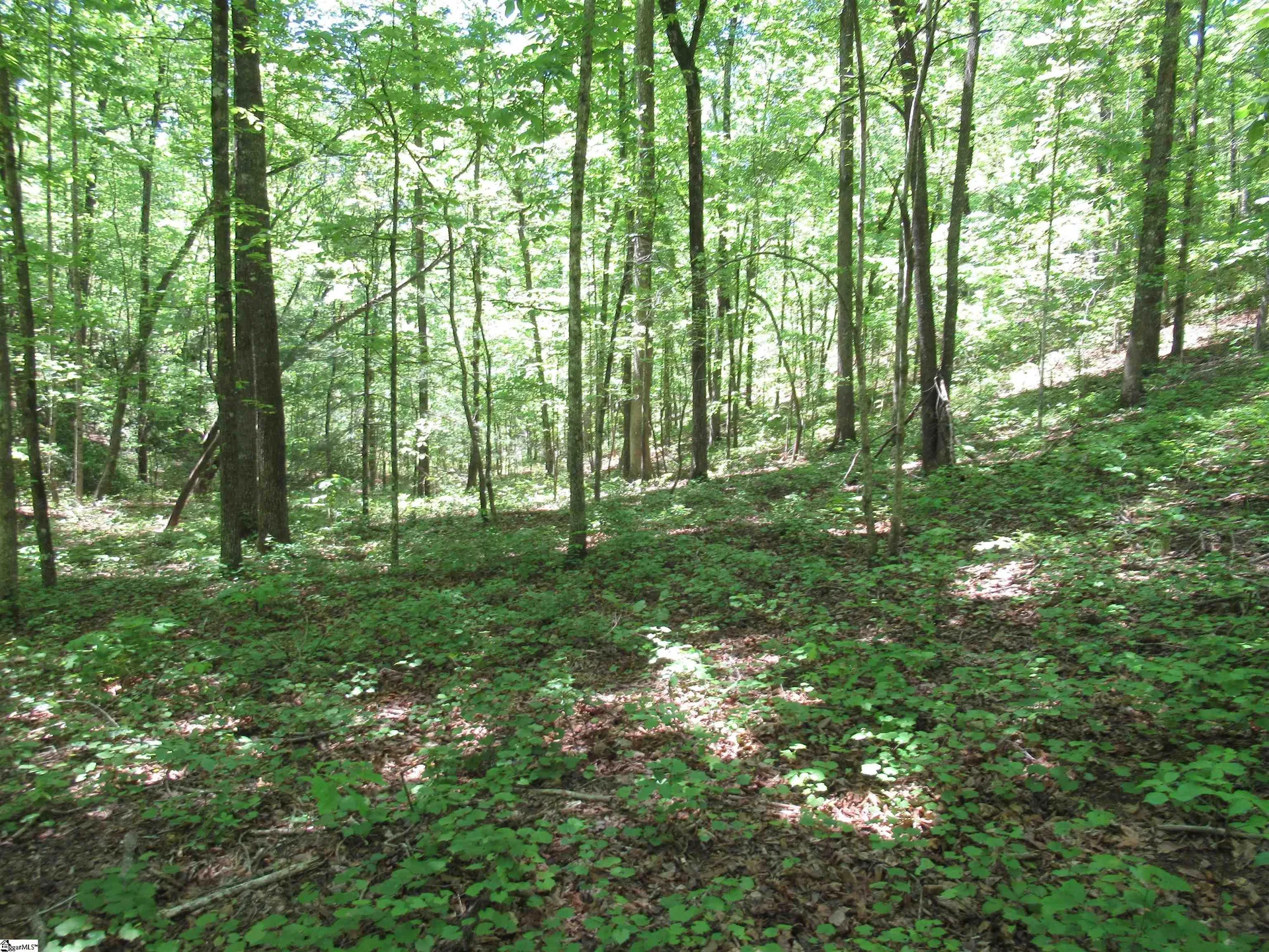 Property image 4 at 6 Emerald Crest Lane, Cleveland, SC 29635