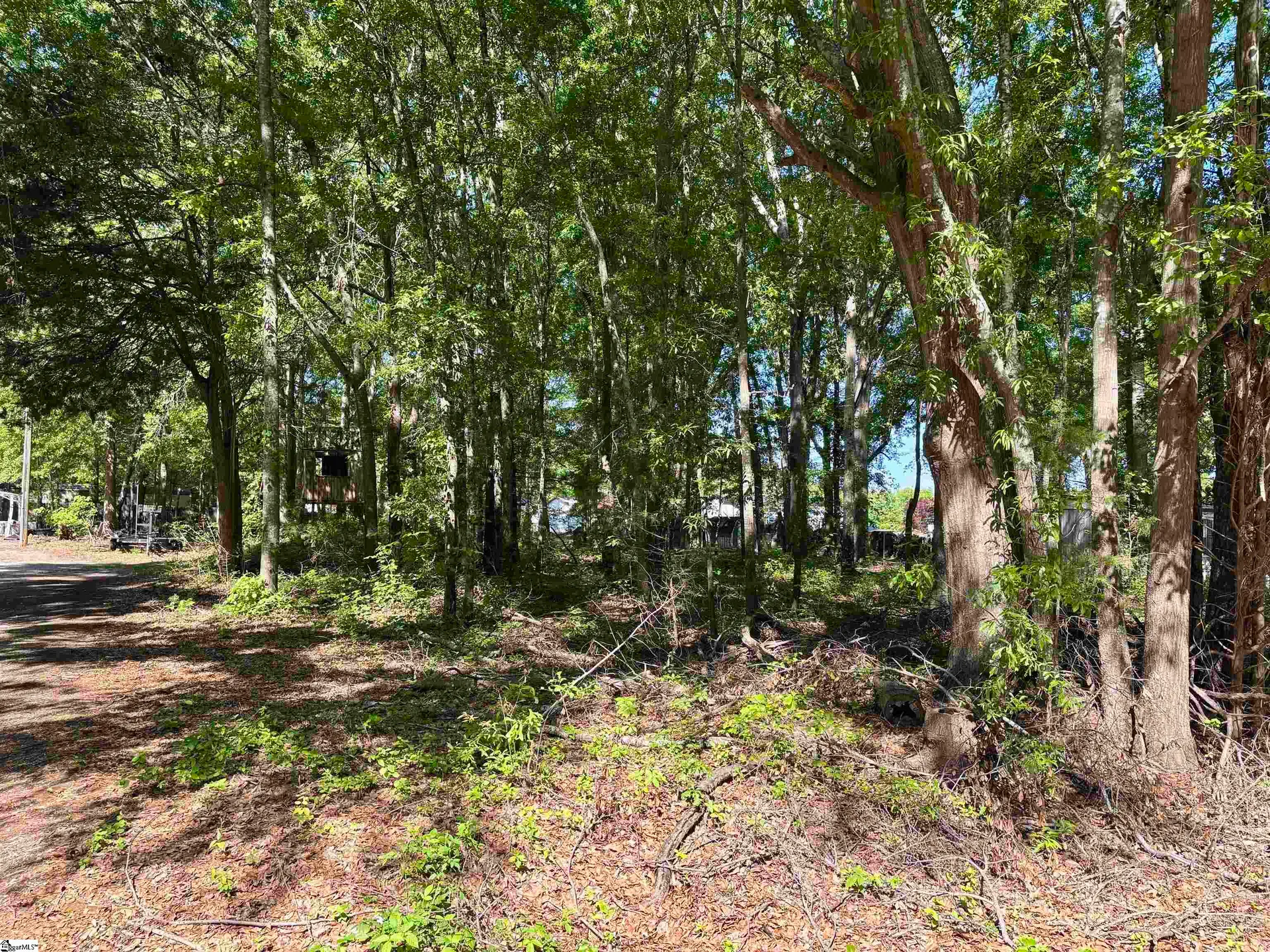 Property image 2 at 00 Harrisburg Drive, Pelzer, SC 29669