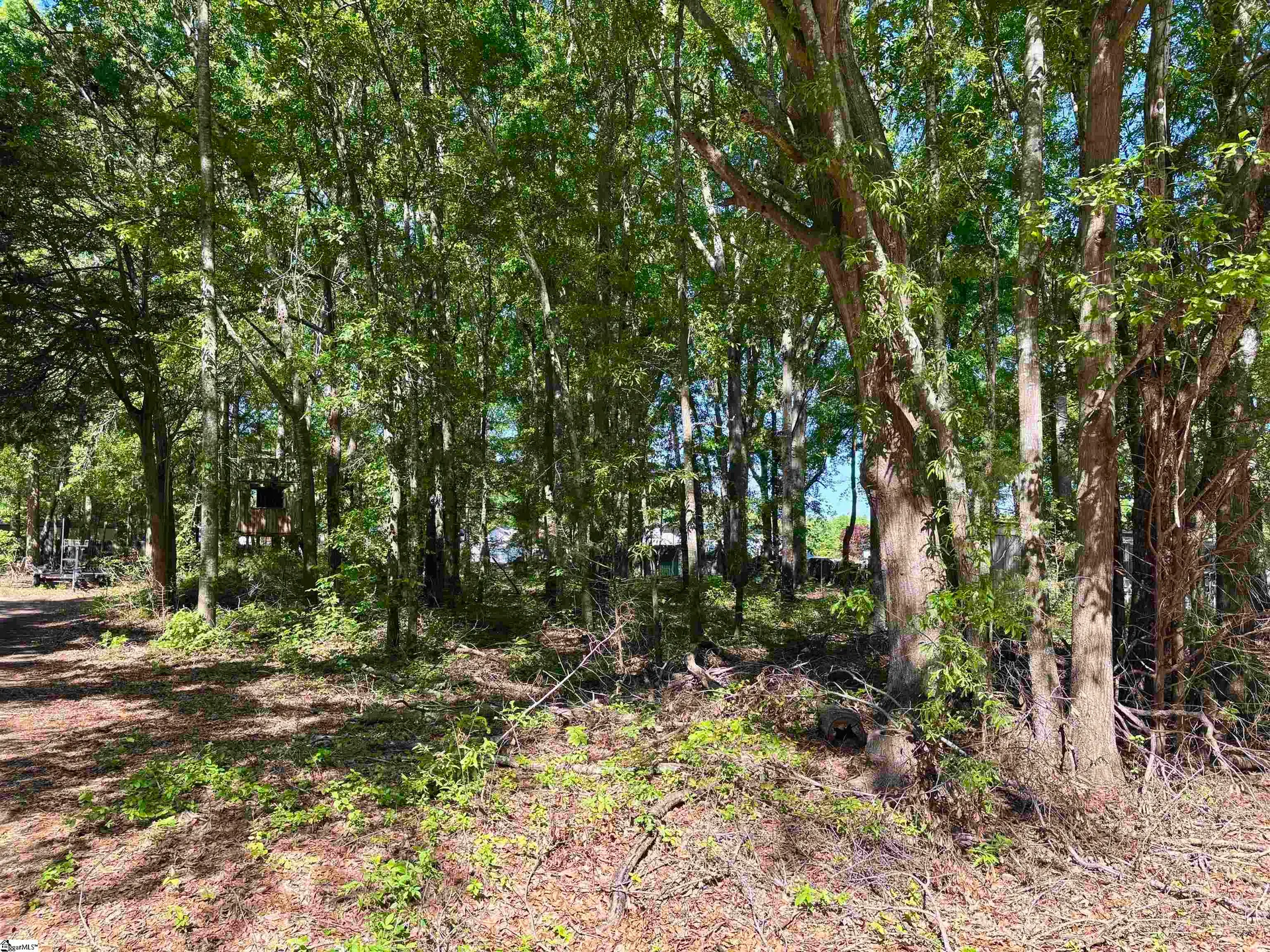 Property image 3 at 00 Harrisburg Drive, Pelzer, SC 29669