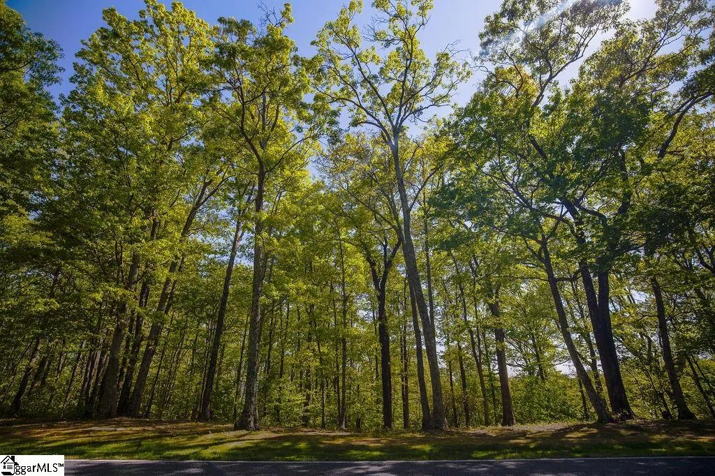 Property image 2 at 633 Plumley Summit Road, Landrum, SC 29356