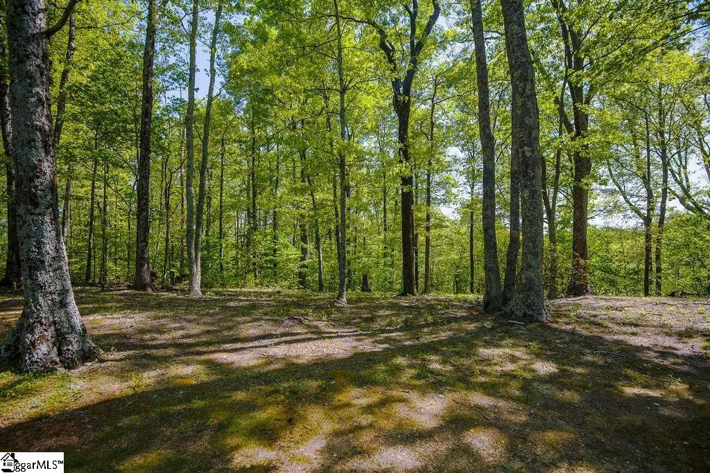 Property image 3 at 633 Plumley Summit Road, Landrum, SC 29356
