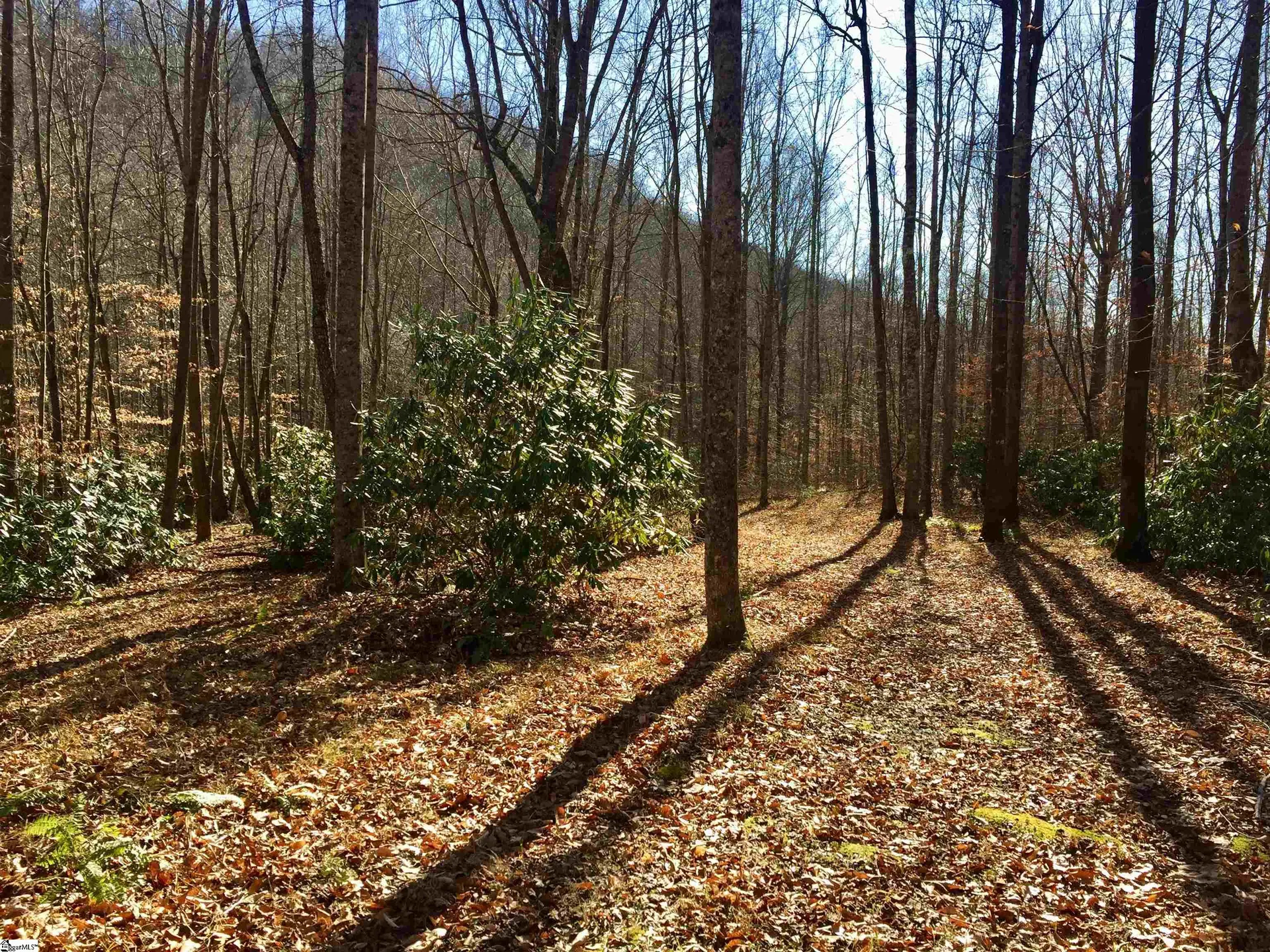 Property image 3 at 180 Painter Creek Road, Travelers Rest, SC 29690
