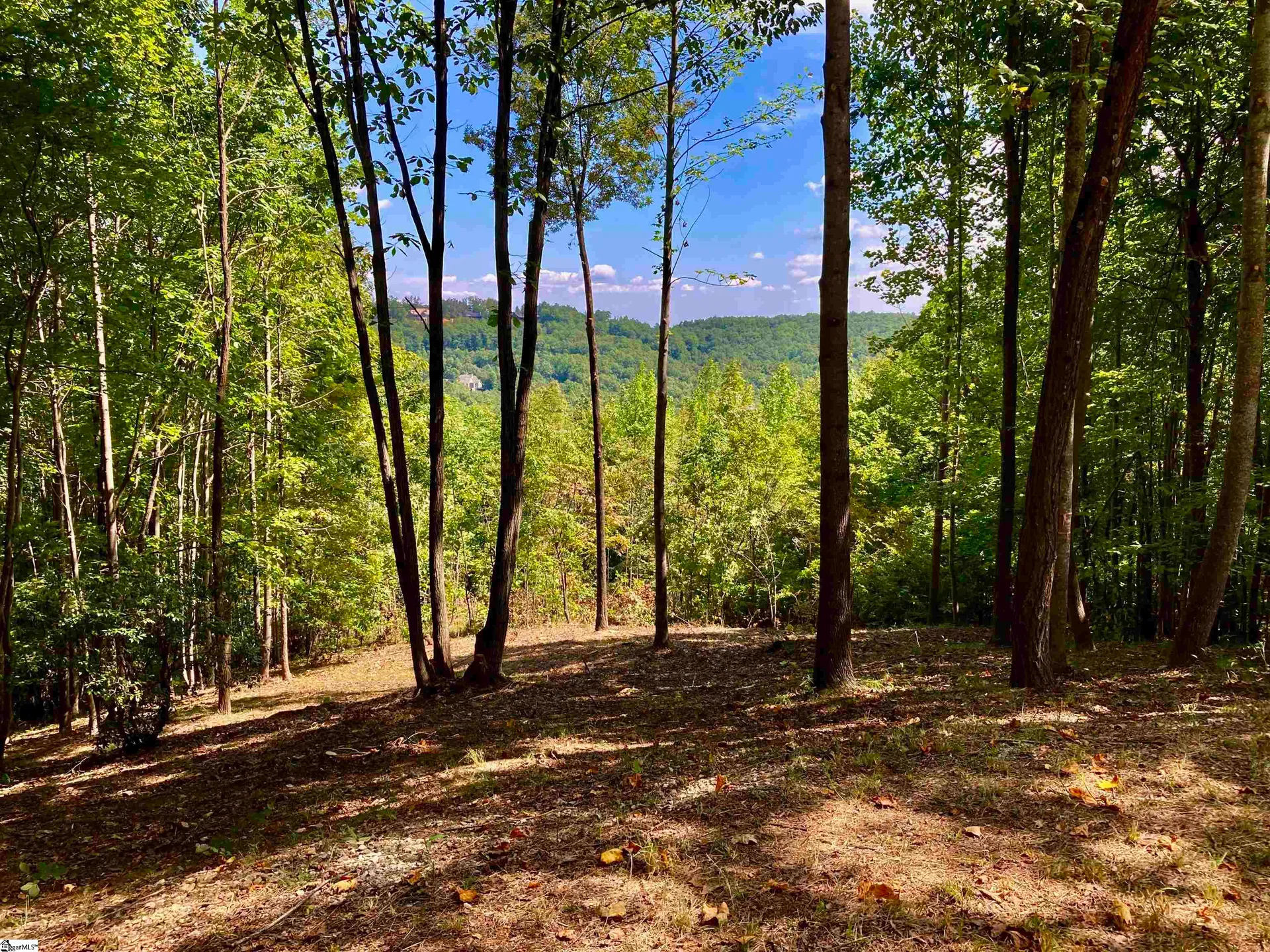 Property image 5 at 501 Blue Bonnet Trail, Marietta, SC 29661