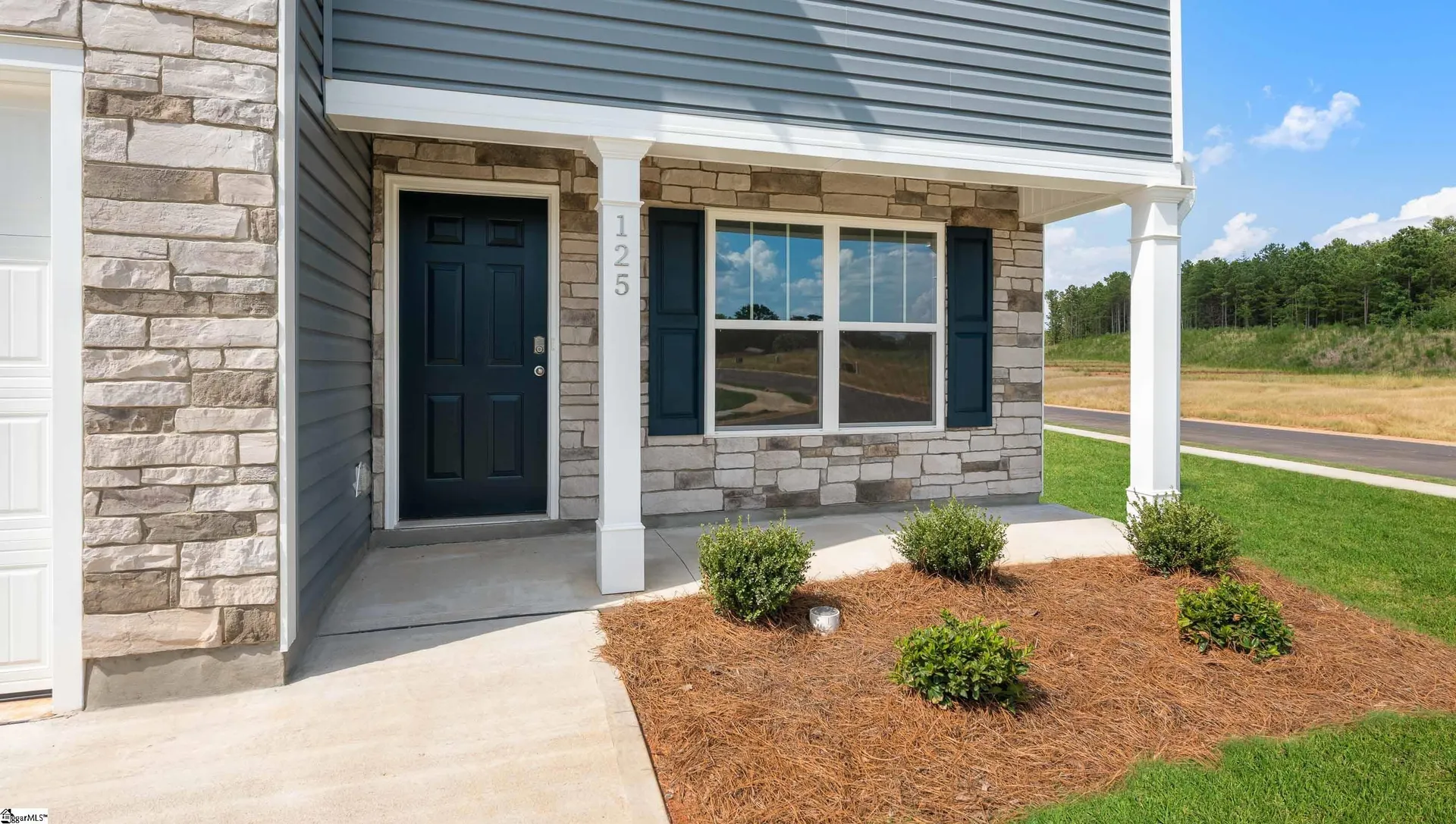 Property image 3 at 125 Elgin Drive, Laurens, SC 29360