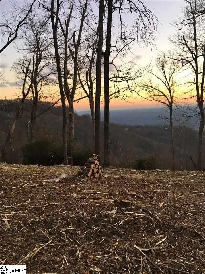 Property image 4 at 1399 Mountain Summit Road, Travelers Rest, SC 29690