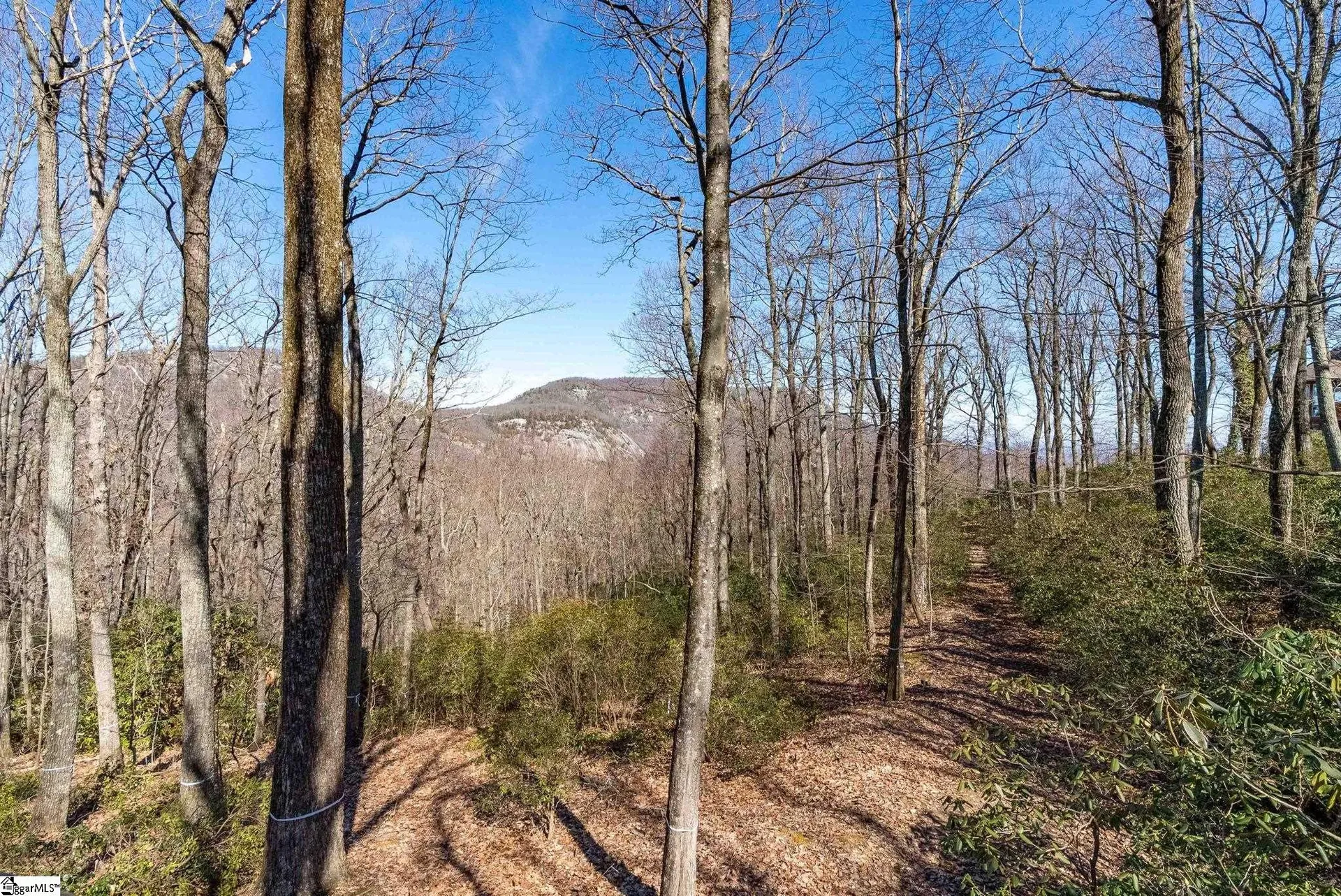 Property image 3 at May Apple Way, Landrum, SC 29356