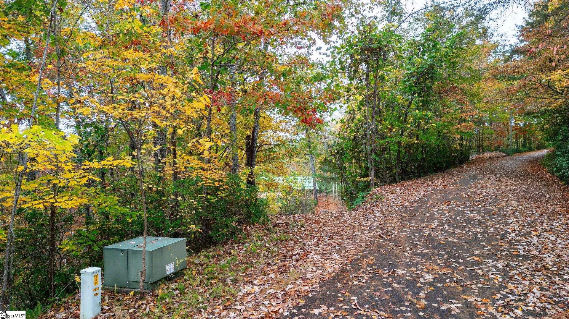 Property image 5 at 524 Caledonia Loop, Landrum, SC 29356