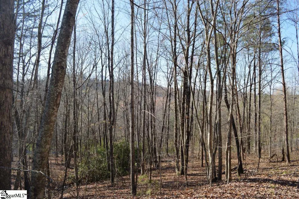 Property image 2 at Purple Finch Way, Marietta, SC 29661