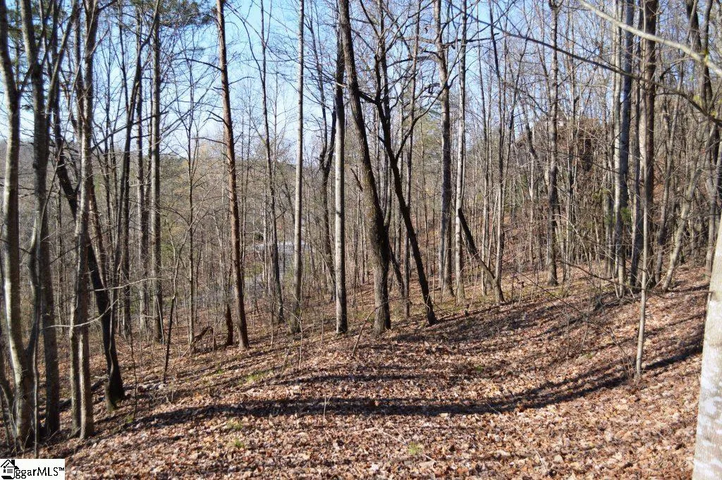 Property image 3 at Purple Finch Way, Marietta, SC 29661