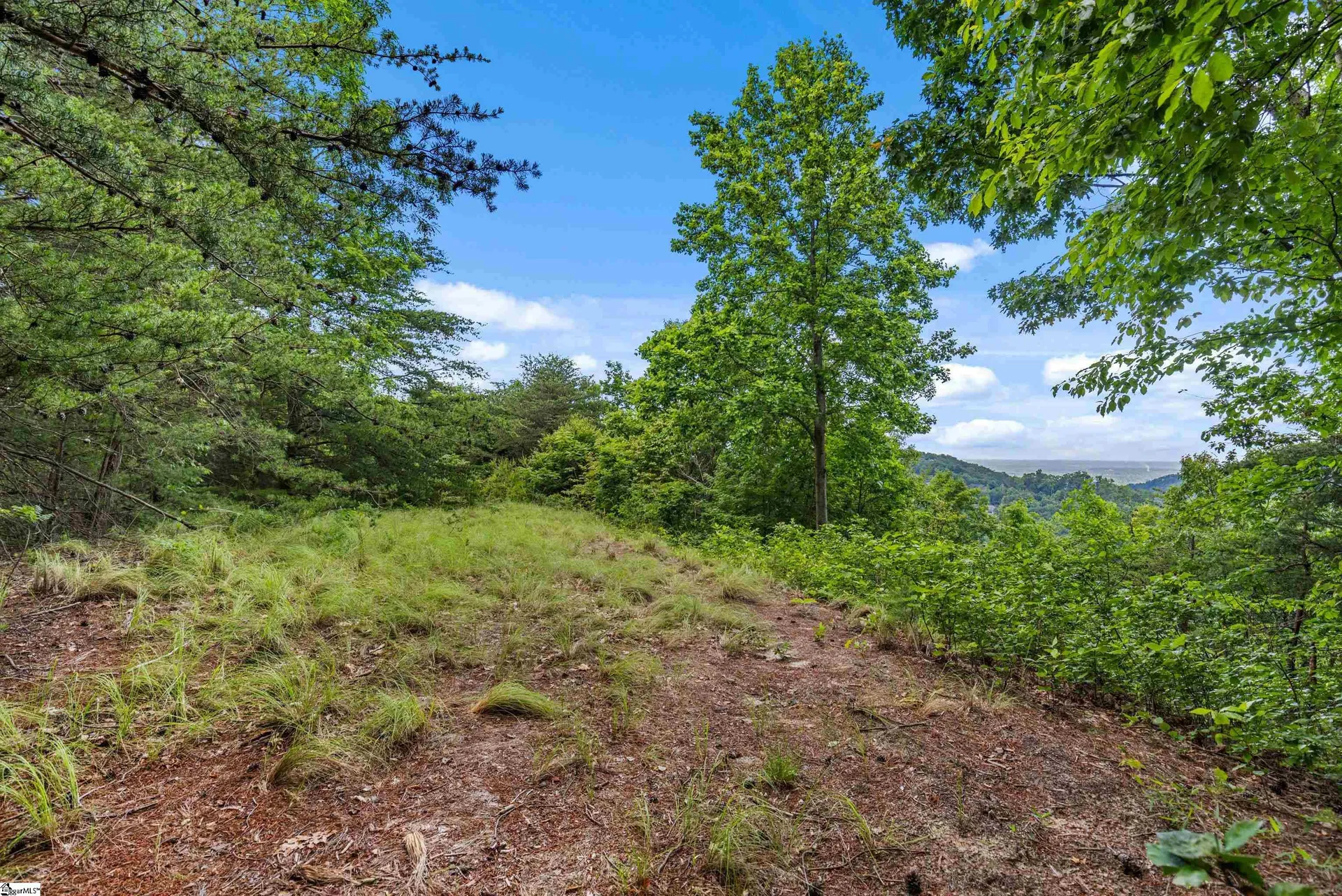 Property image 2 at 214 Craggy Rock Lane, Landrum, SC 29356
