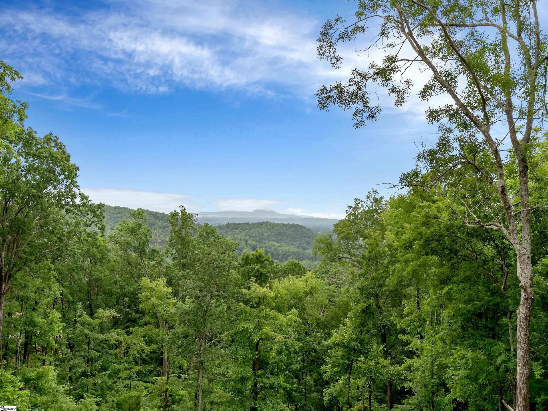 Property image 2 at 32 Mica Flats Drive, Landrum, SC 29356