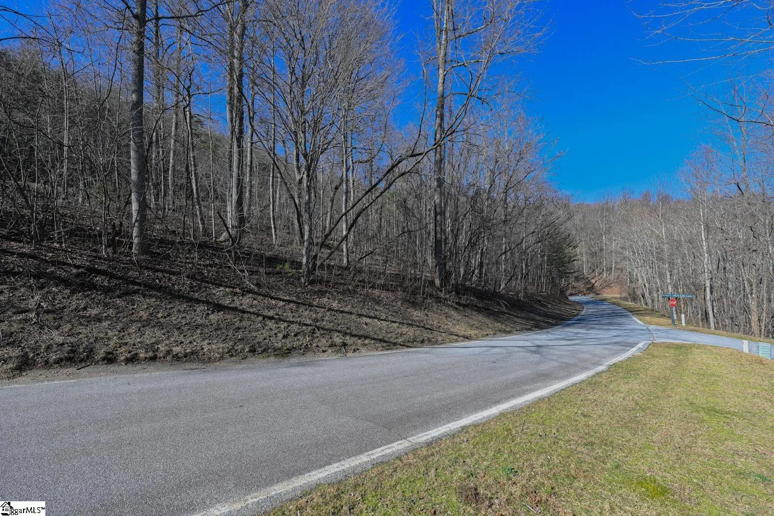 Property image 4 at 35 Foggy Cut Lane, Landrum, SC 29356