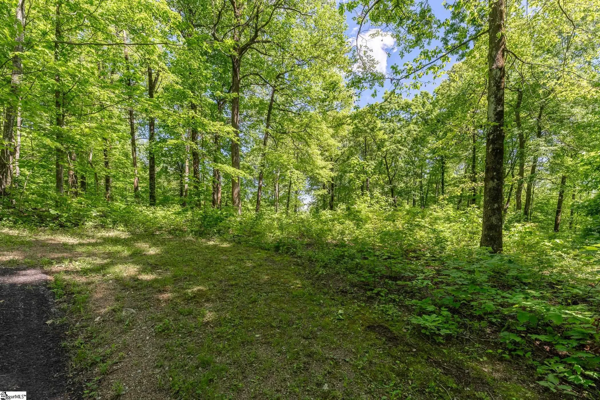 149 Lacey Fern Way