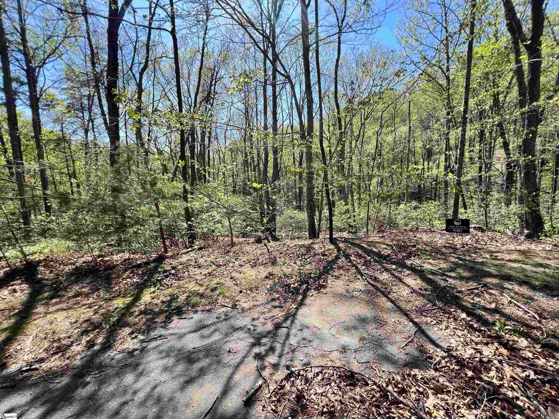 605 Mountain Summit Road