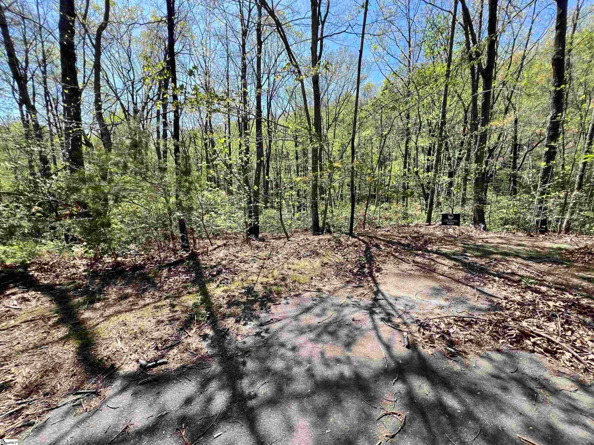 Property image 2 at 605 Mountain Summit Road, Travelers Rest, SC 29690