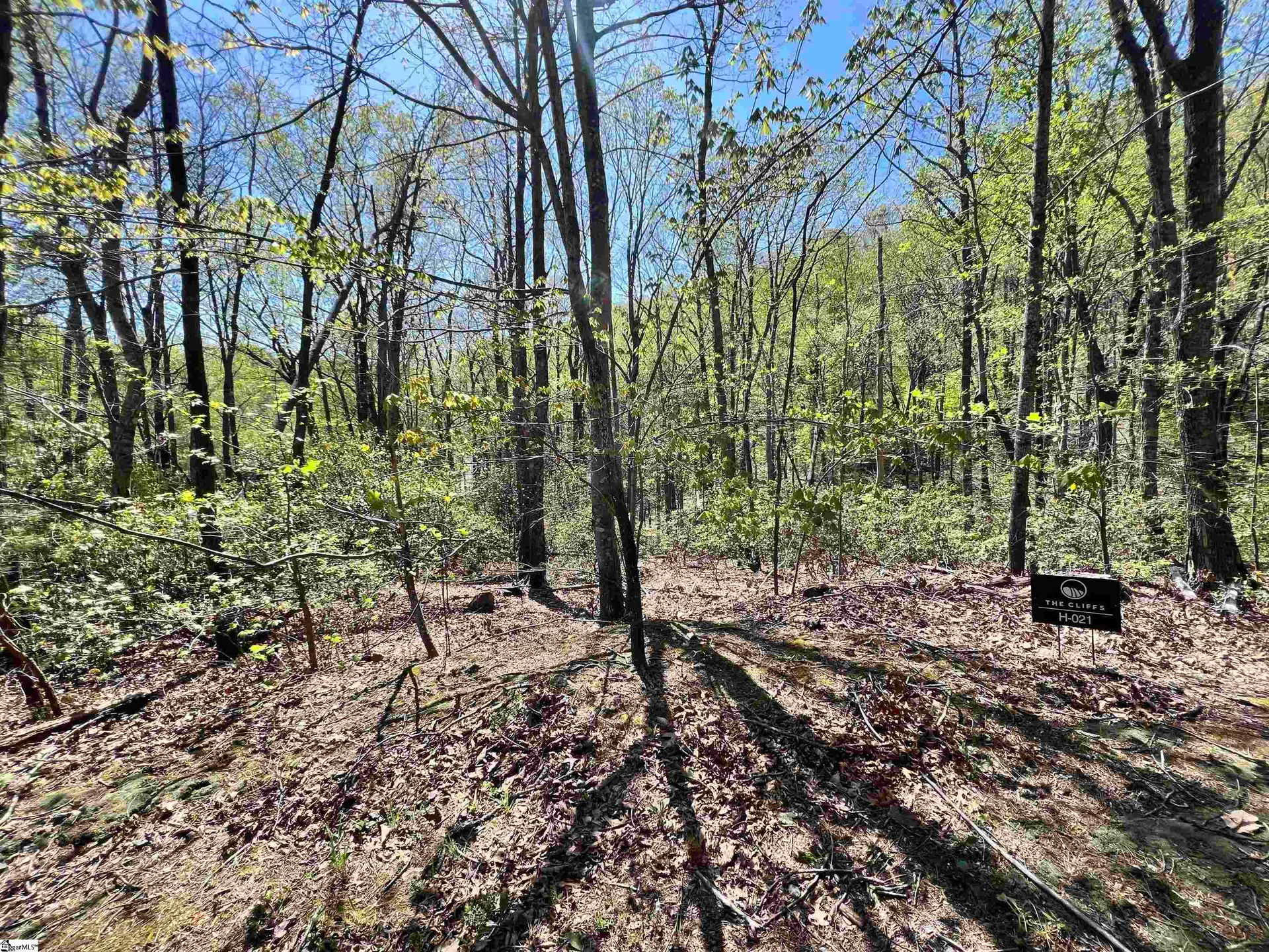 Property image 3 at 605 Mountain Summit Road, Travelers Rest, SC 29690