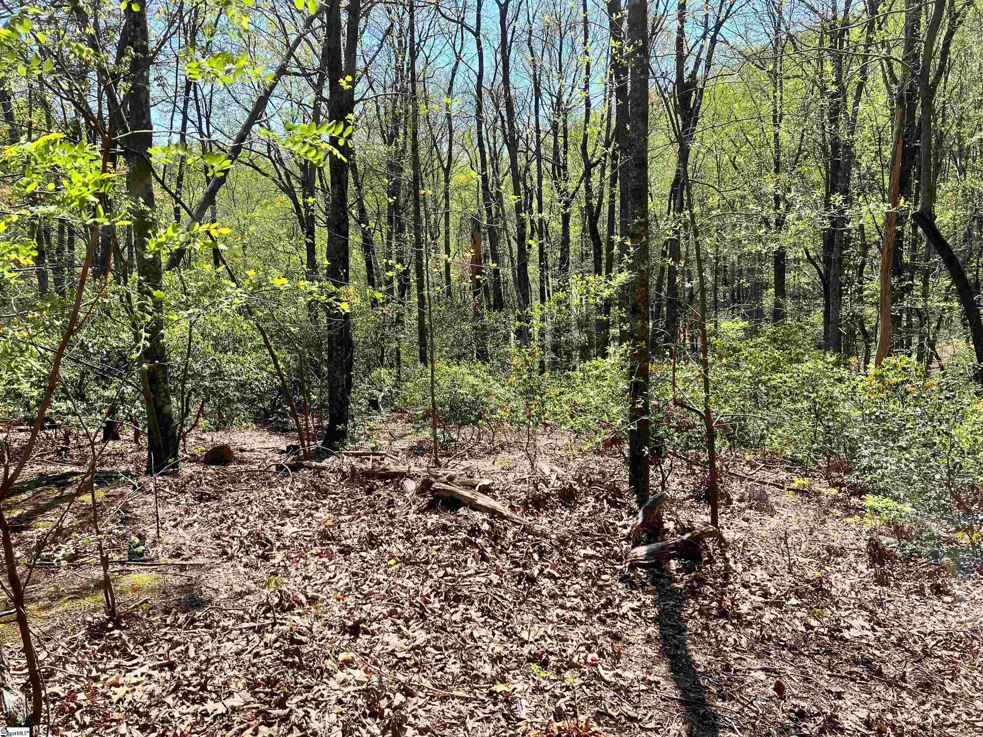 Property image 4 at 605 Mountain Summit Road, Travelers Rest, SC 29690