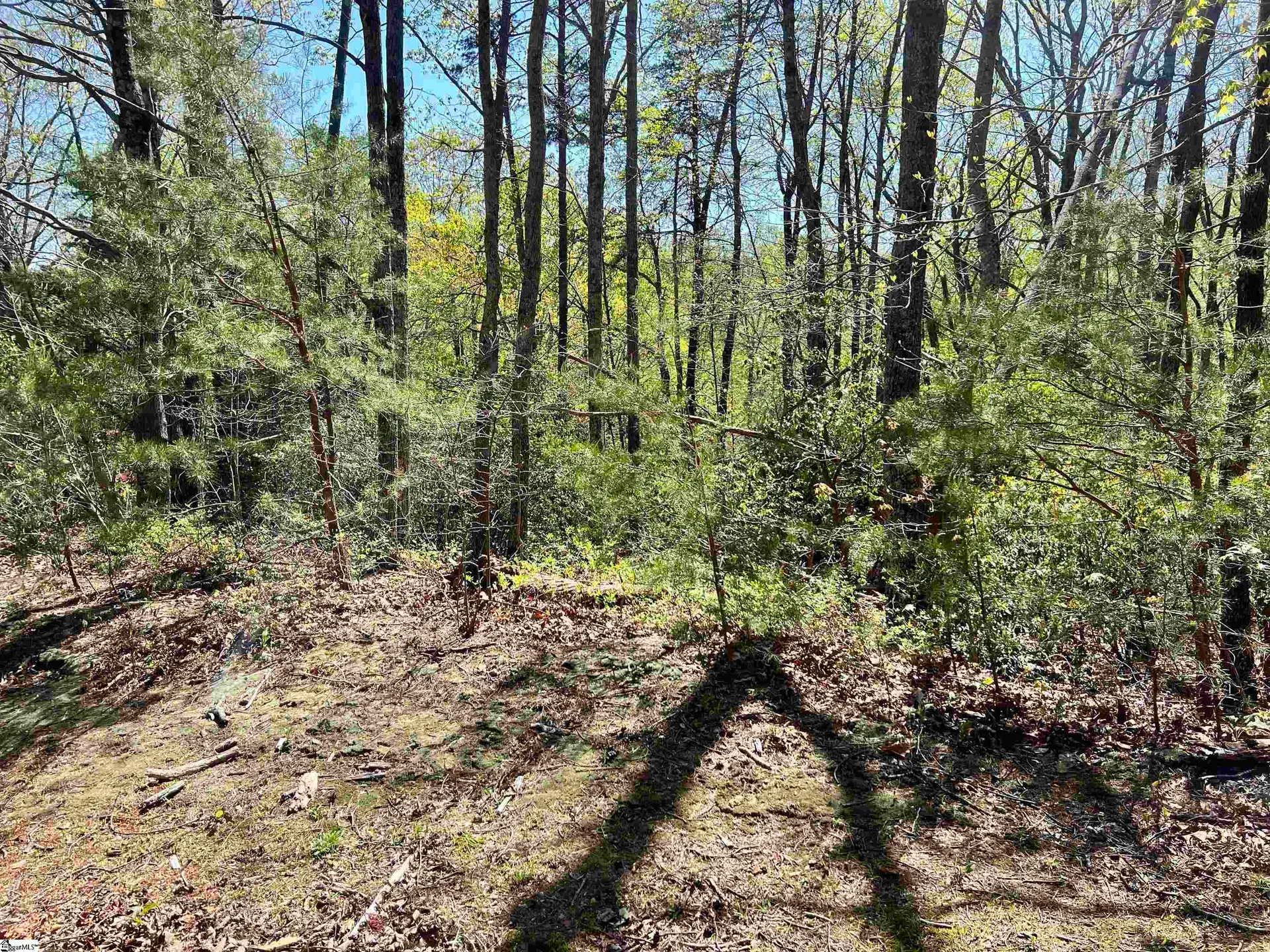 Property image 5 at 605 Mountain Summit Road, Travelers Rest, SC 29690
