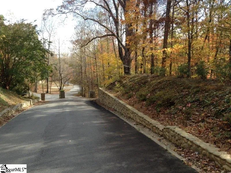 Property image 3 at 0 Hidden Glory Drive, Landrum, SC 29356