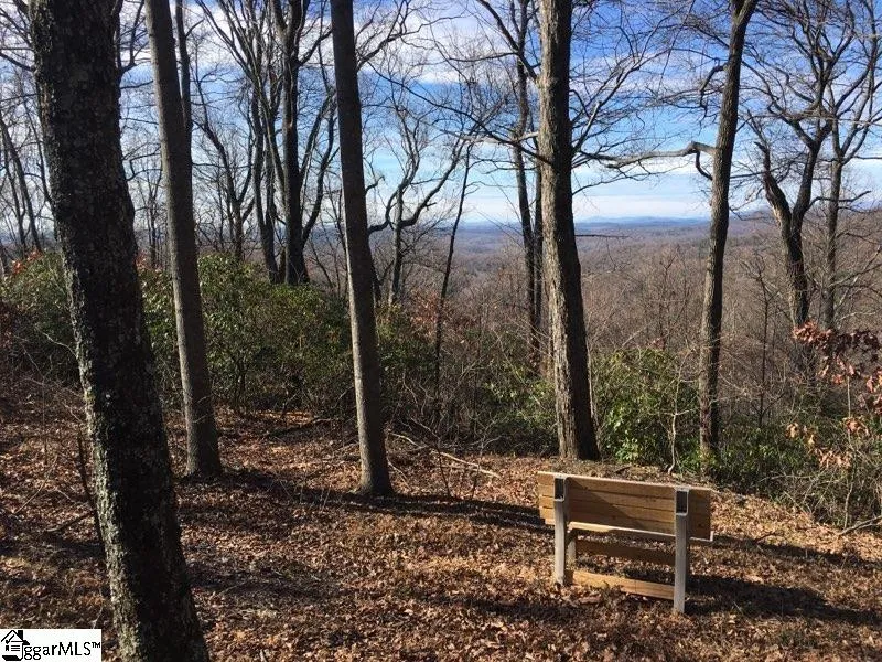Property image 5 at 0 Hidden Glory Drive, Landrum, SC 29356