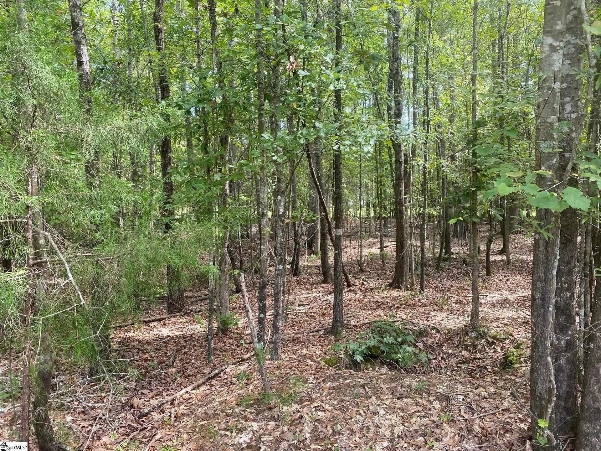 Property image 3 at 203 W Peninsula Drive, Laurens, SC 29360
