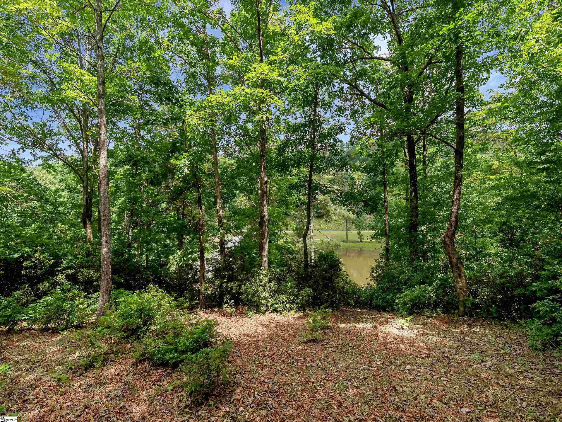 Property image 2 at 25 Lakes Edge Way, Marietta, SC 29661