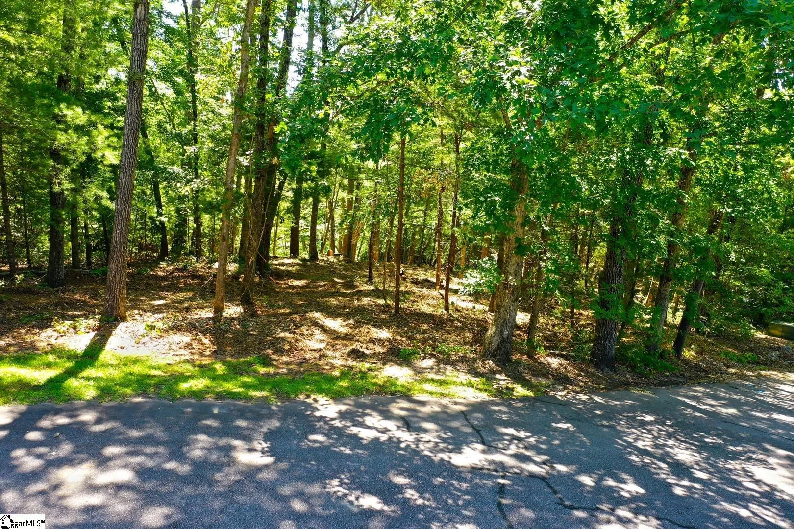 315 Fernwood Drive