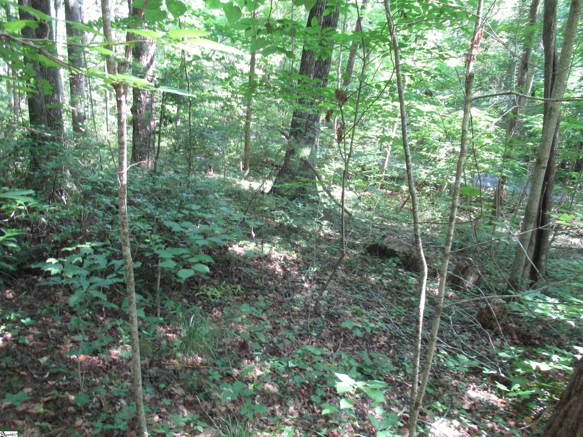 00 Gauley Falls Road