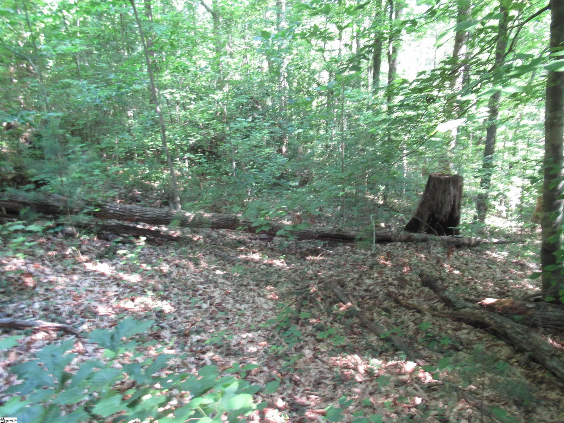 Property image 2 at 00 Gauley Falls Road, Pickens, SC 29671
