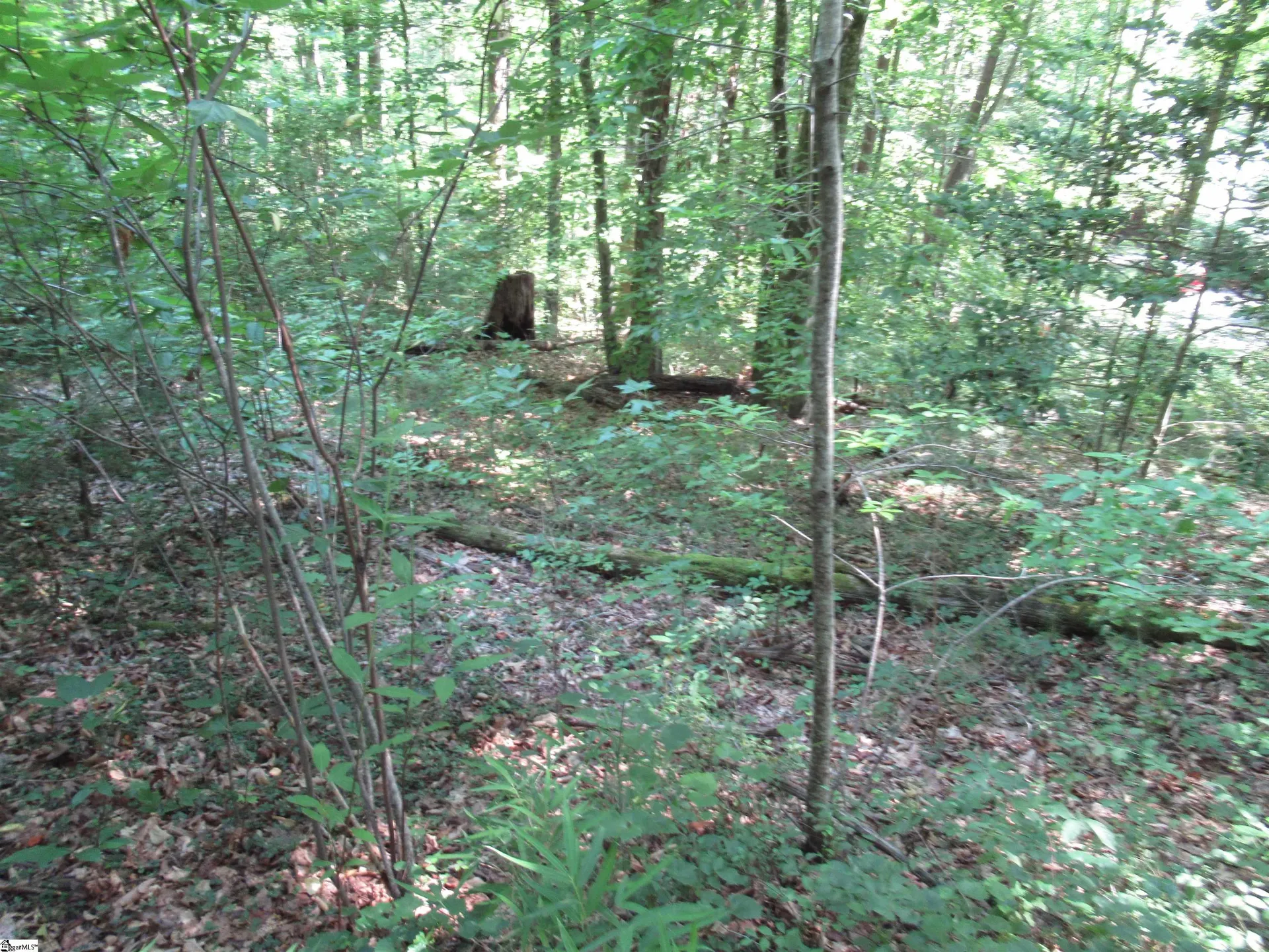 Property image 4 at 00 Gauley Falls Road, Pickens, SC 29671