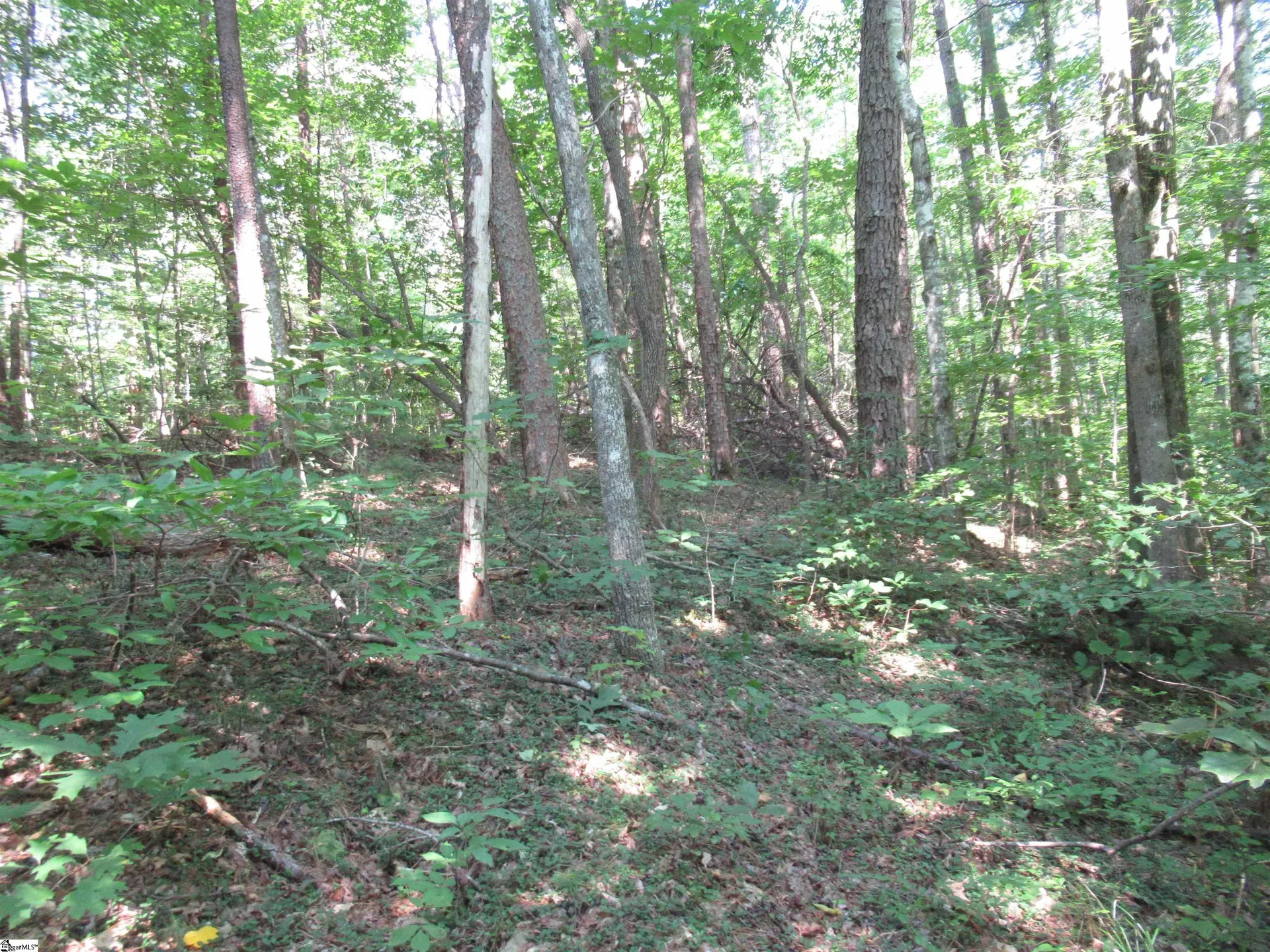 Property image 5 at 00 Gauley Falls Road, Pickens, SC 29671