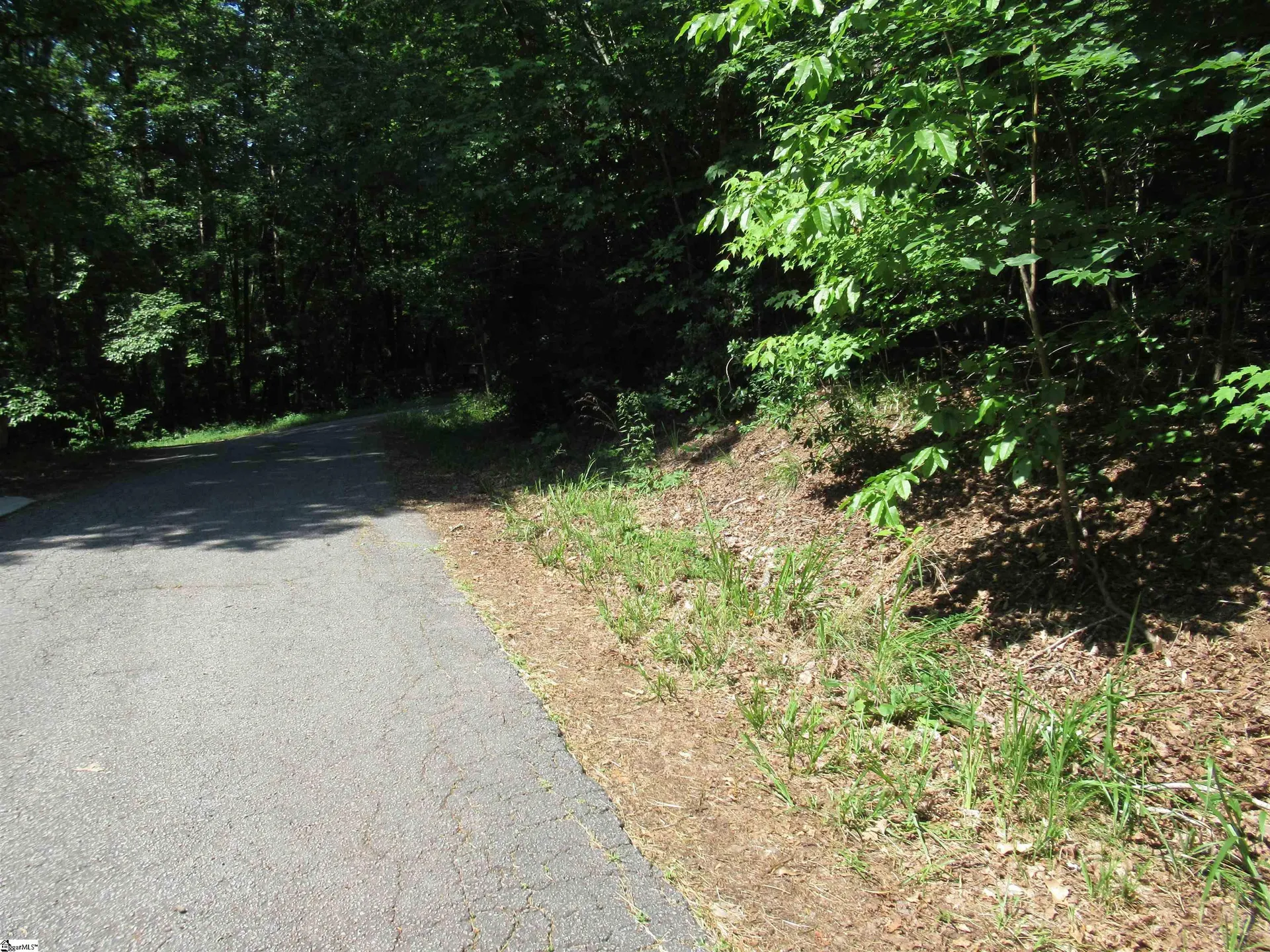 00 Gauley Falls Road