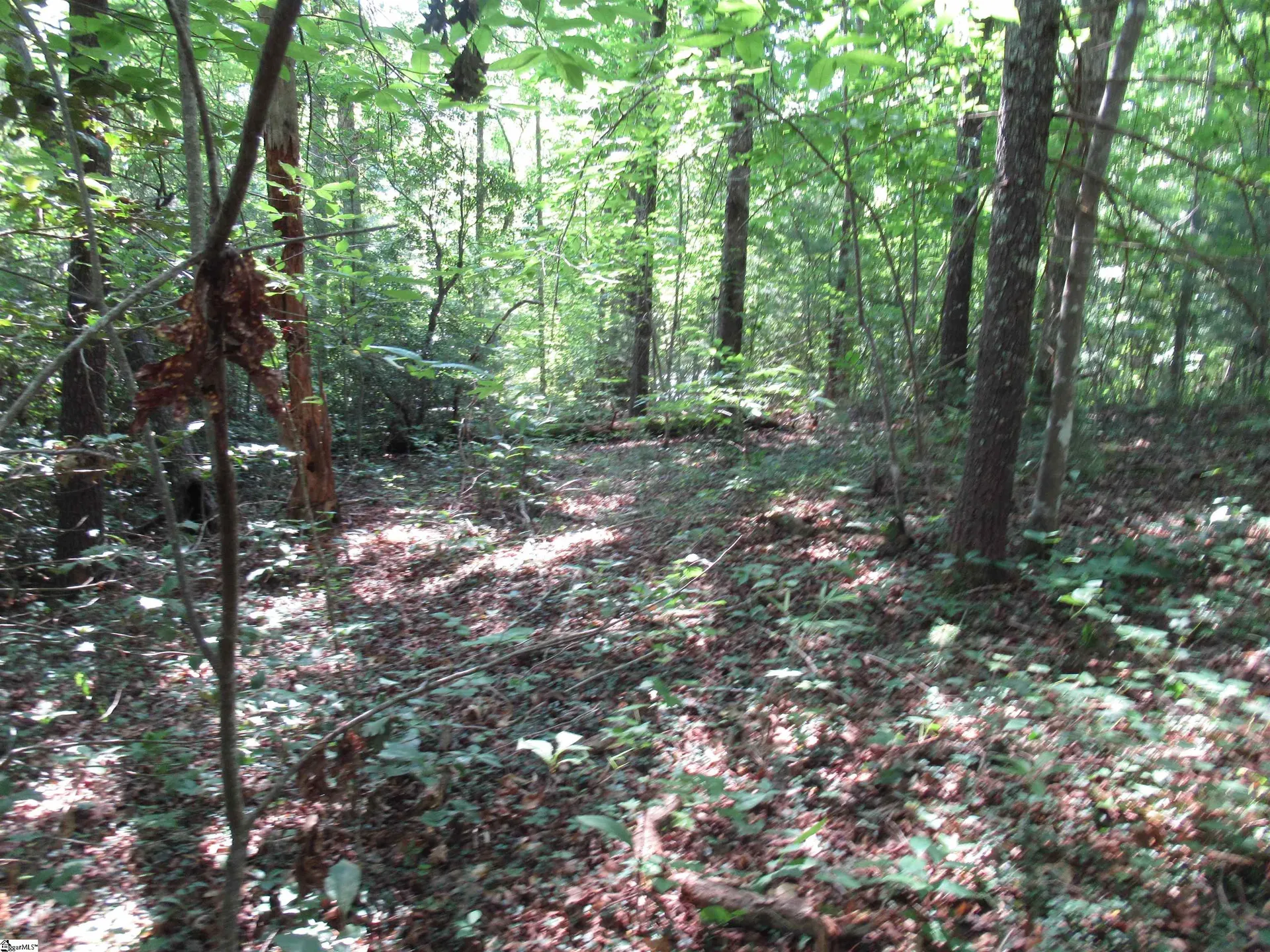 Property image 2 at 00 Gauley Falls Road, Pickens, SC 29671