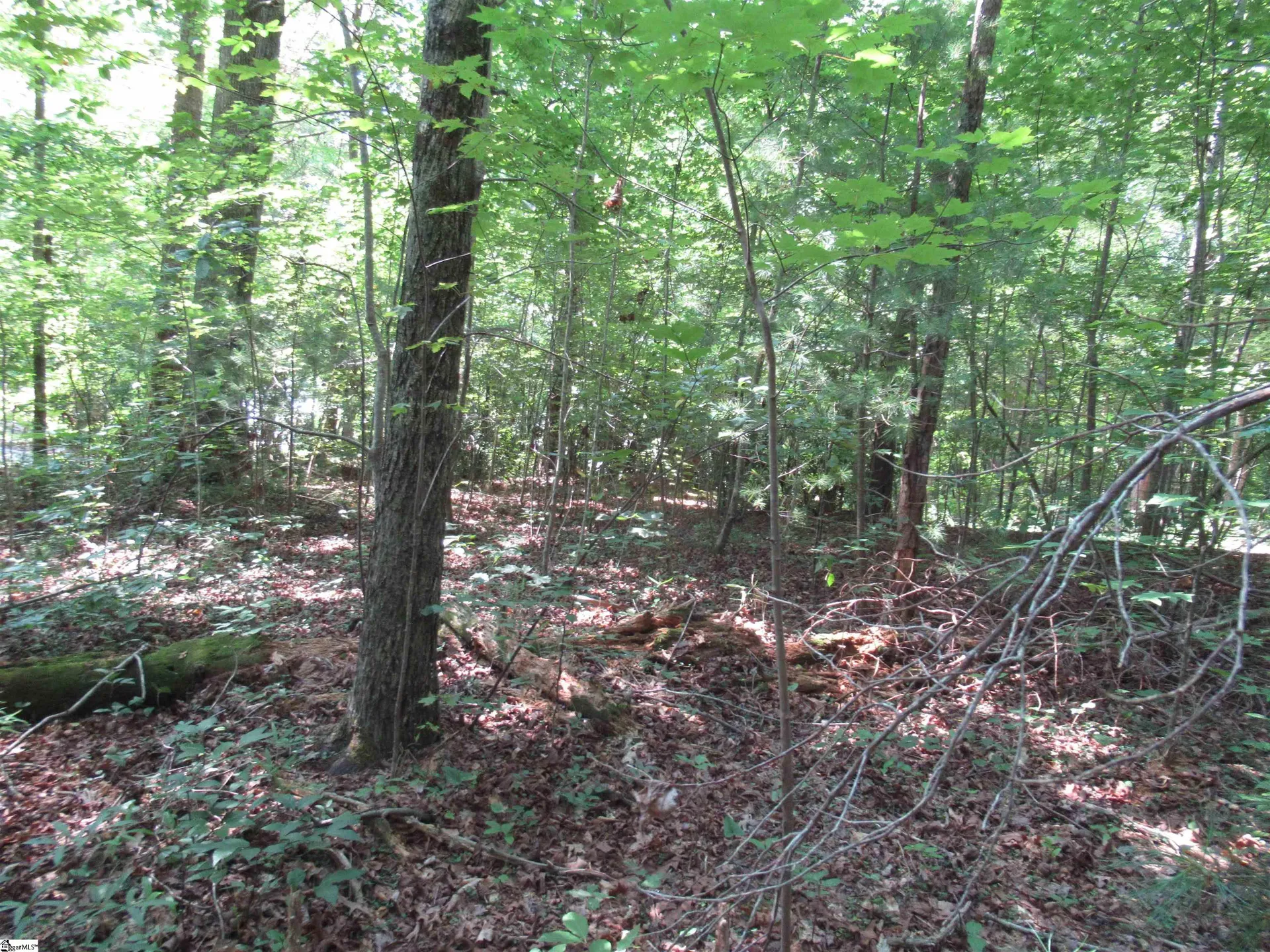 Property image 3 at 00 Gauley Falls Road, Pickens, SC 29671