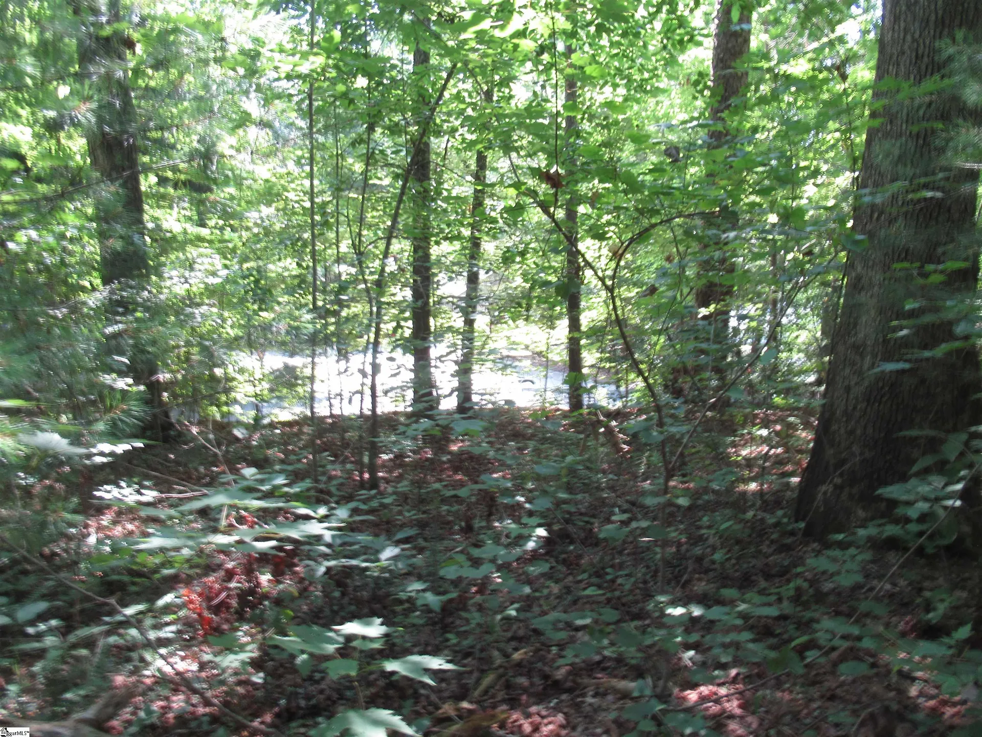 Property image 5 at 00 Gauley Falls Road, Pickens, SC 29671