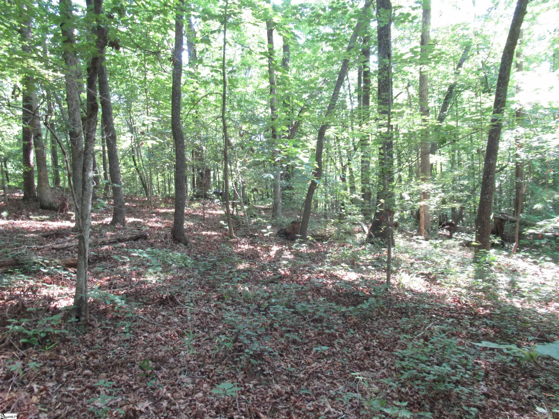 205 Gauley Falls Road