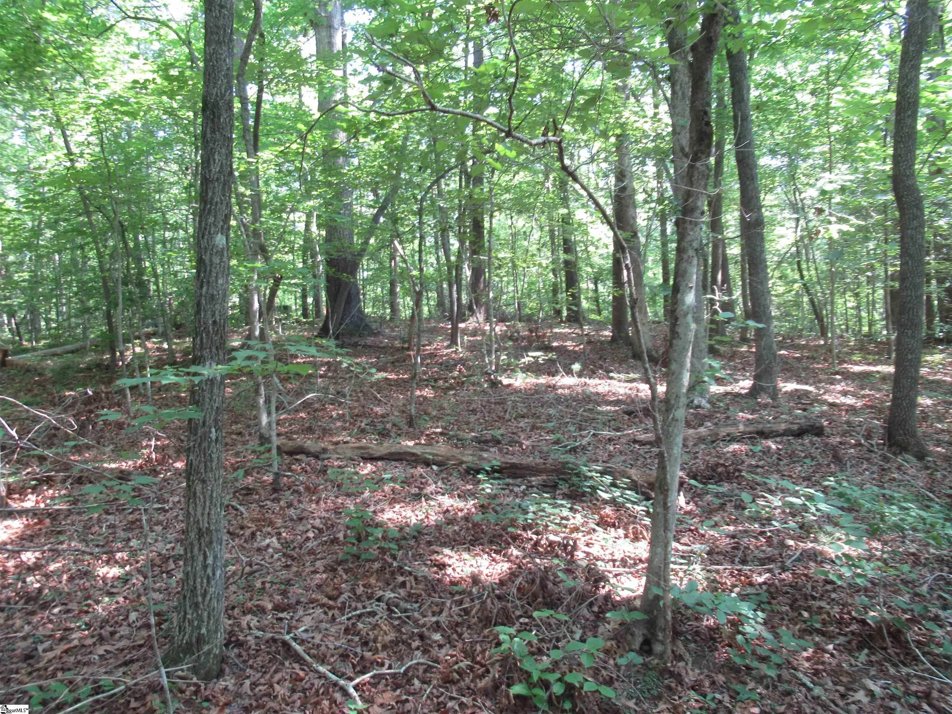 Property image 3 at 205 Gauley Falls Road, Pickens, SC 29671