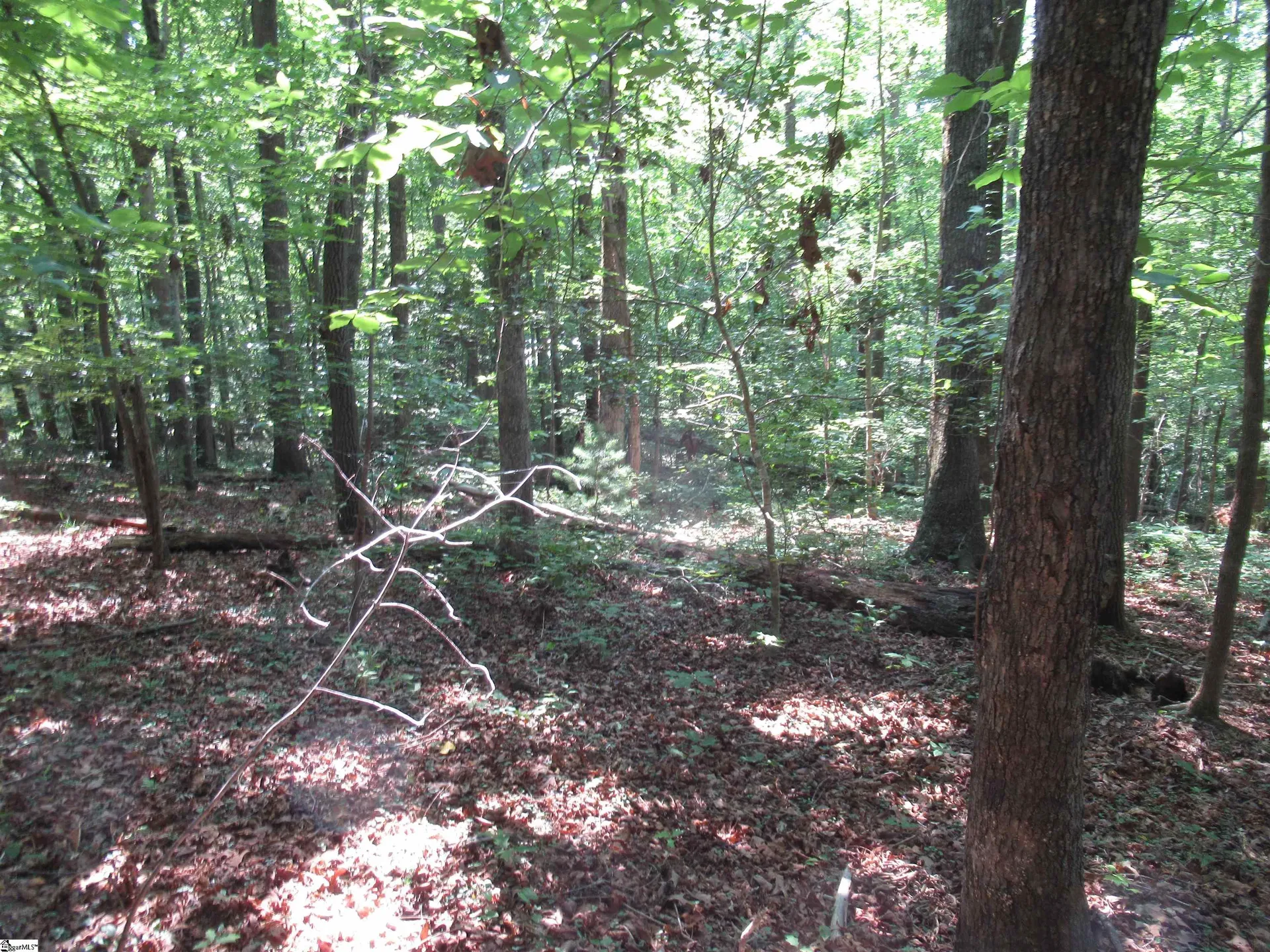 Property image 4 at 205 Gauley Falls Road, Pickens, SC 29671